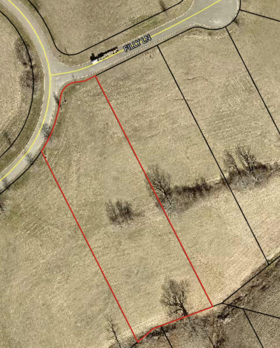 8008 Filly Lane Property Photo 3