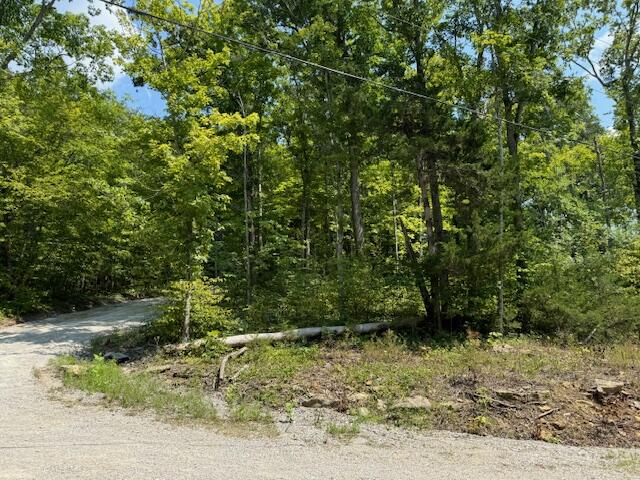 Lots 1-2-3-4 Dixie Bend Road Property Photo 1