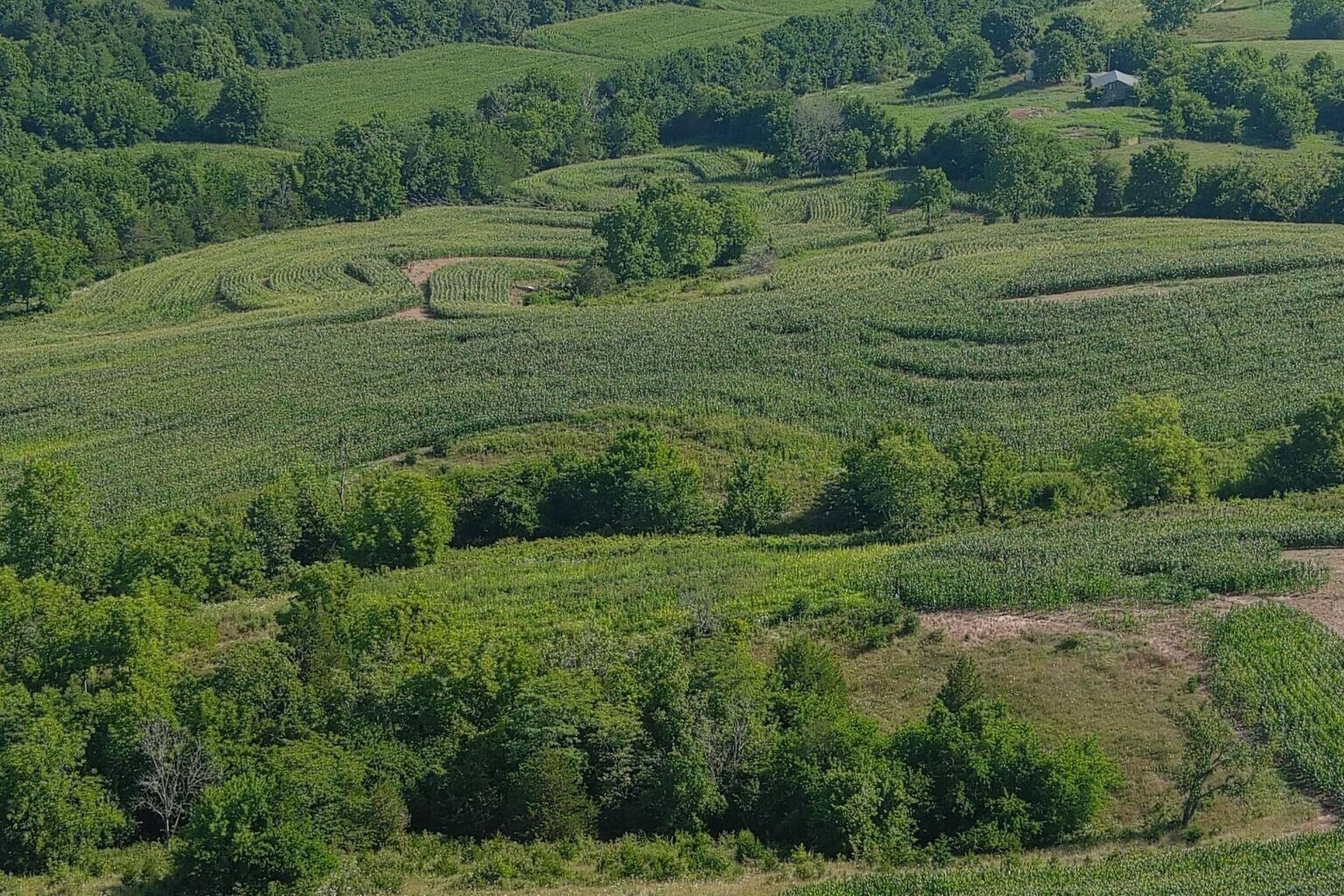 3330 Ky-1770 Property Photo 4