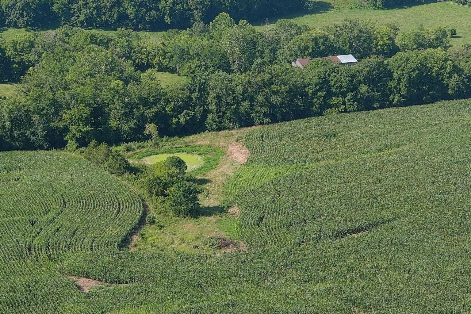 3330 Ky-1770 Property Photo 6