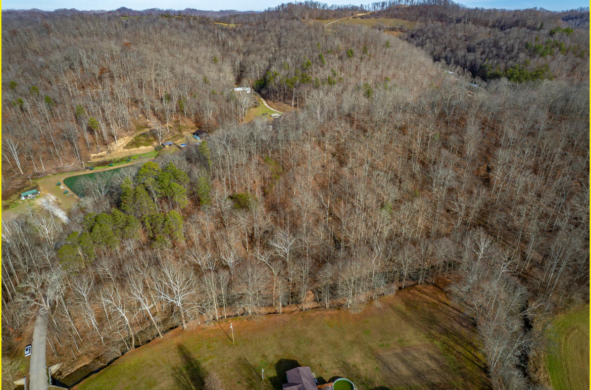 0 Board Tree Road Property Photo 1