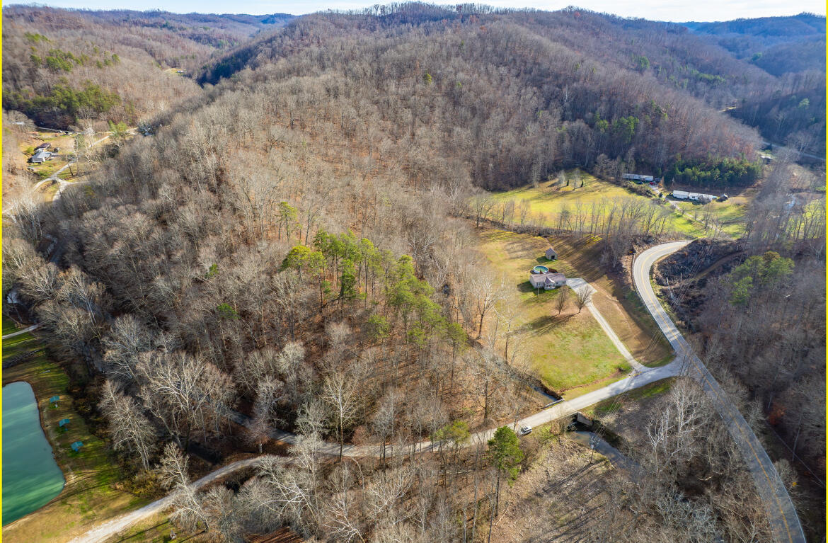 0 Board Tree Road Property Photo 3