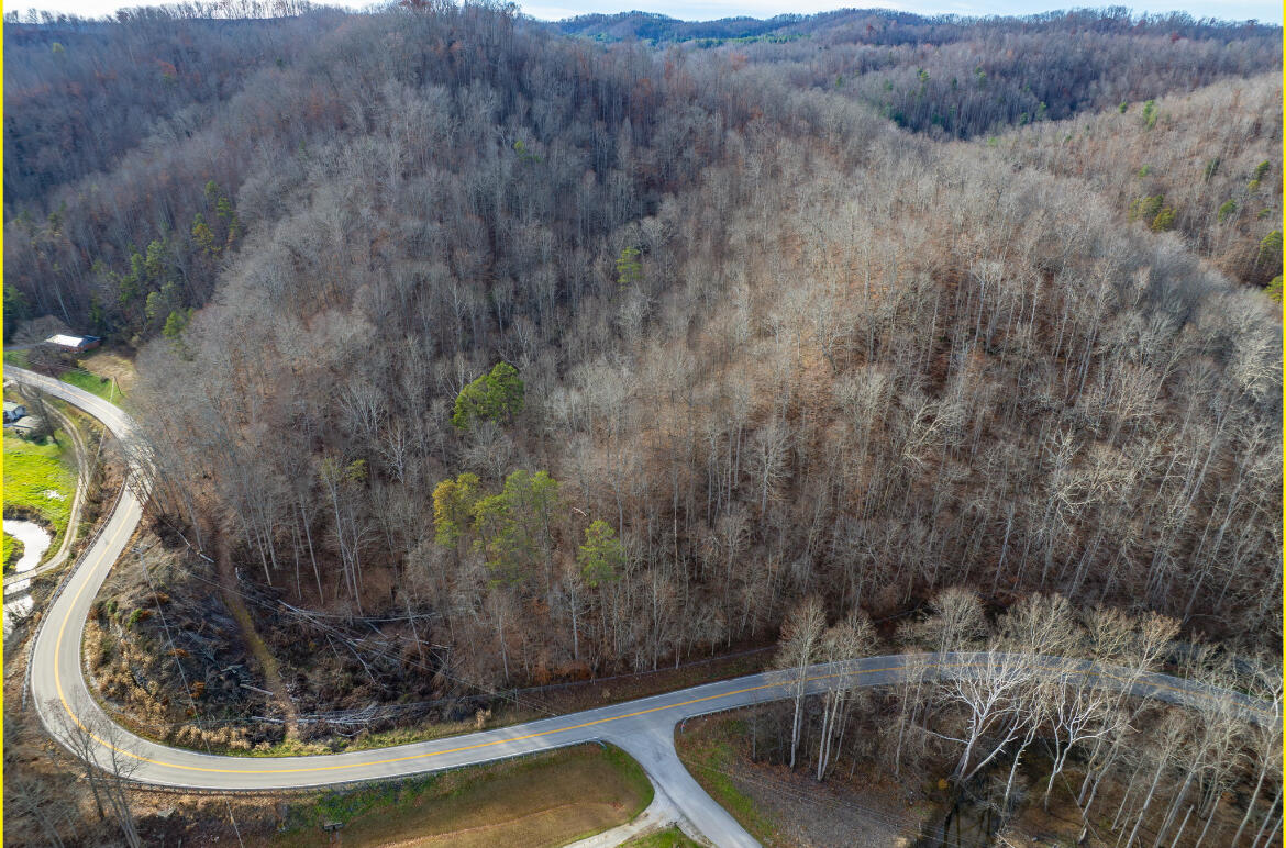 0 Board Tree Road Property Photo 4