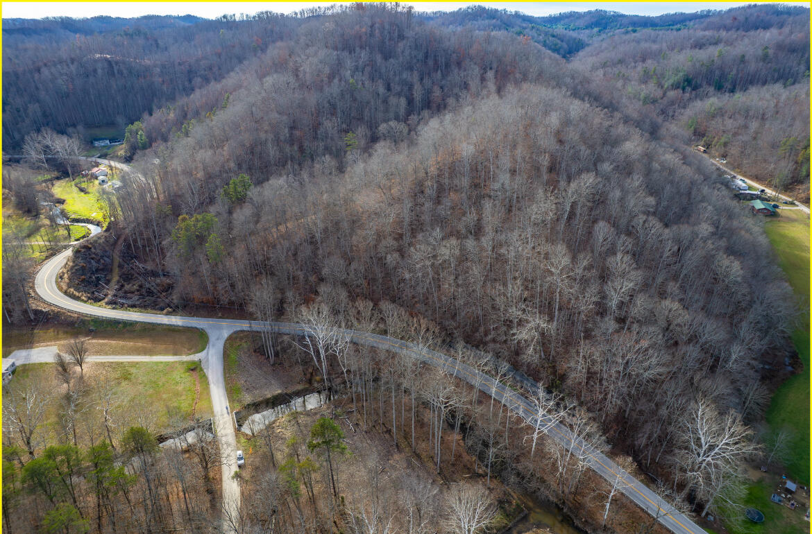 0 Board Tree Road Property Photo 5