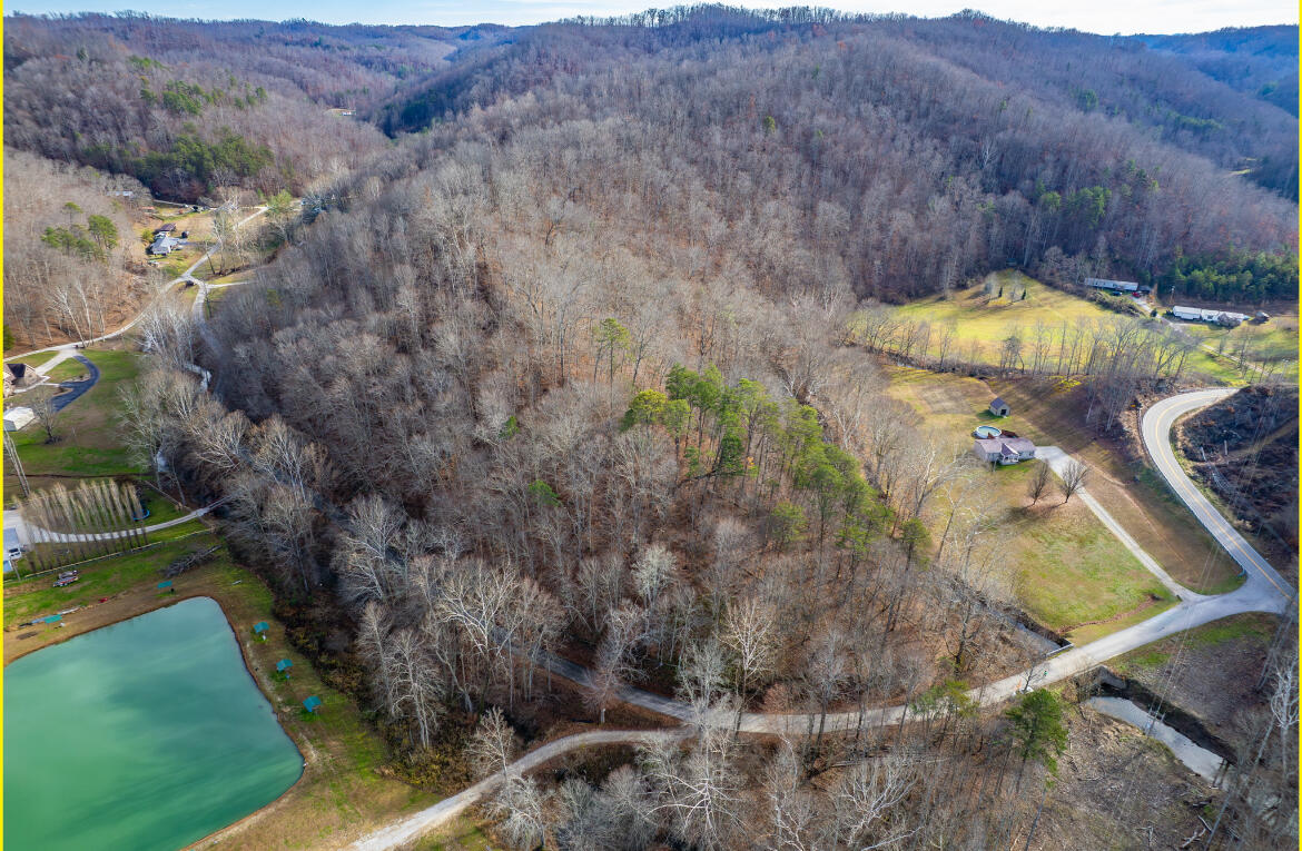 0 Board Tree Road Property Photo 7
