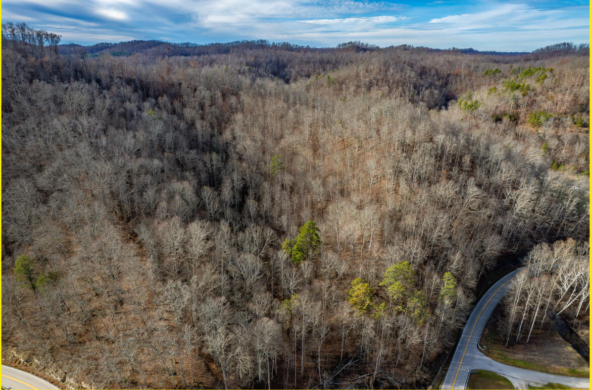 0 Board Tree Road Property Photo 9