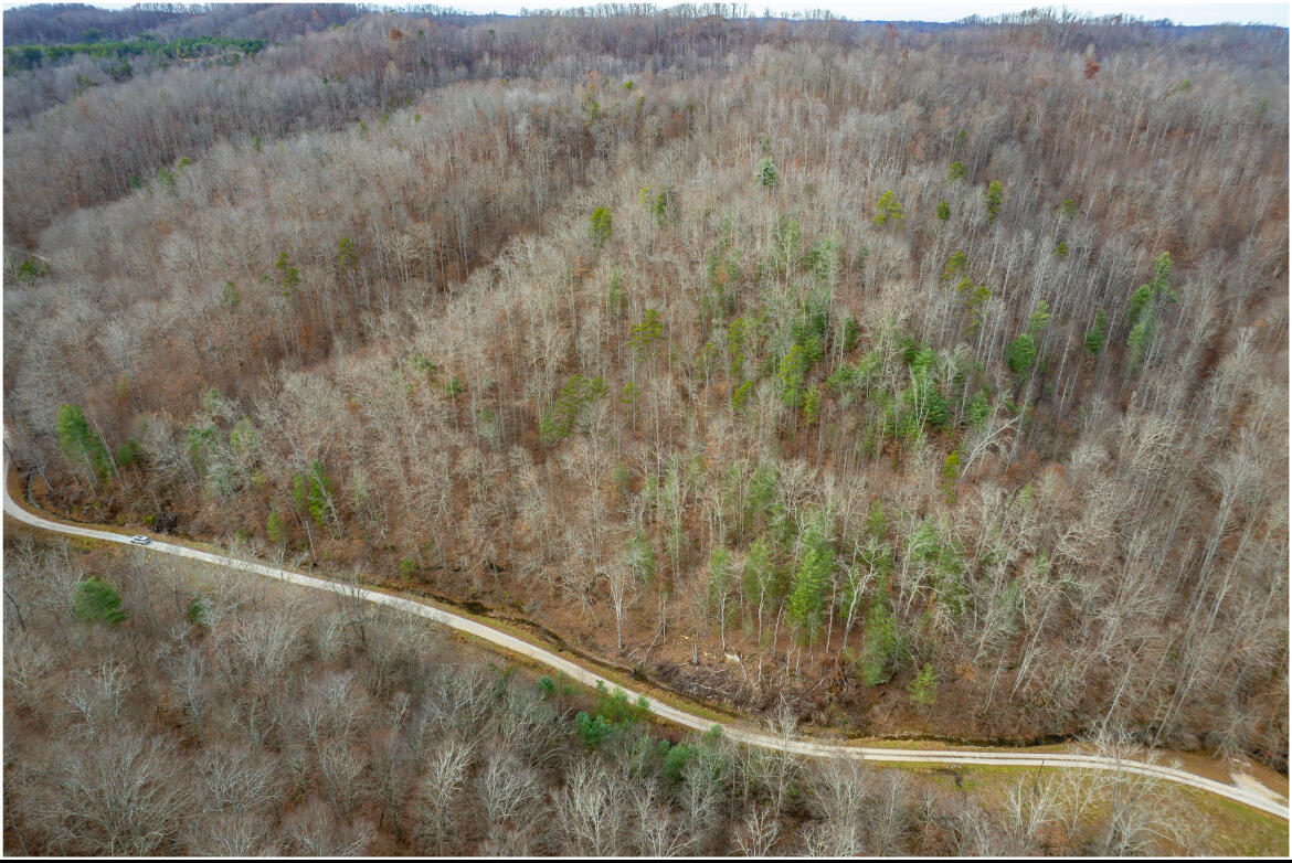9999 Stable Branch Road Property Photo 13