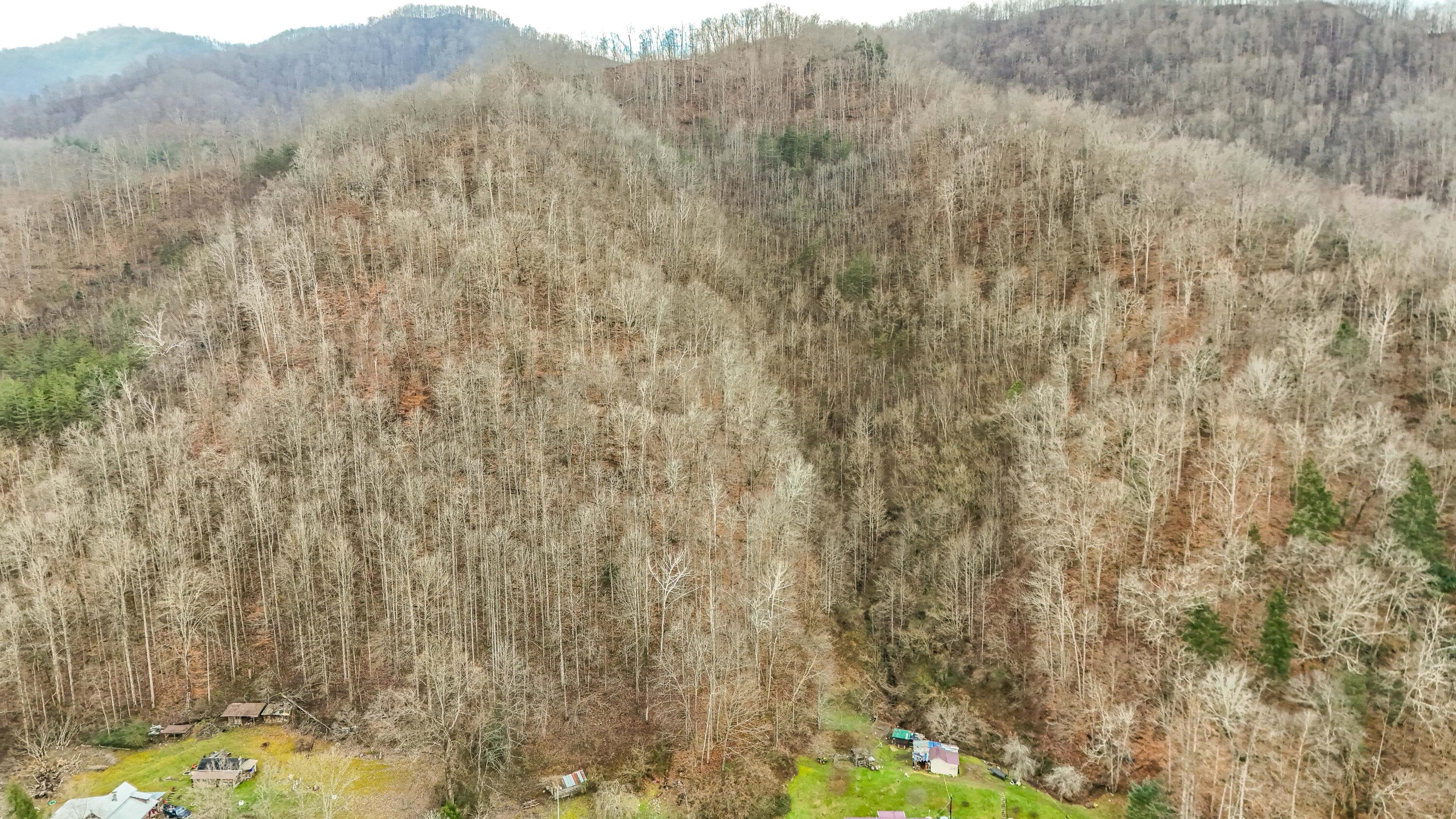 9999 Highway 3451 Property Photo 13