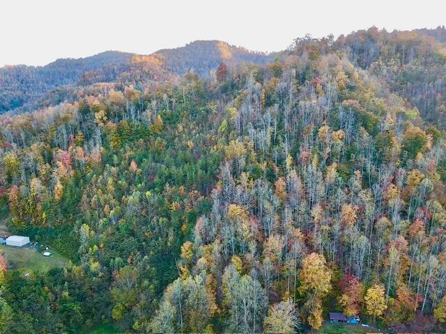 9999 Highway 3451 Property Photo 20