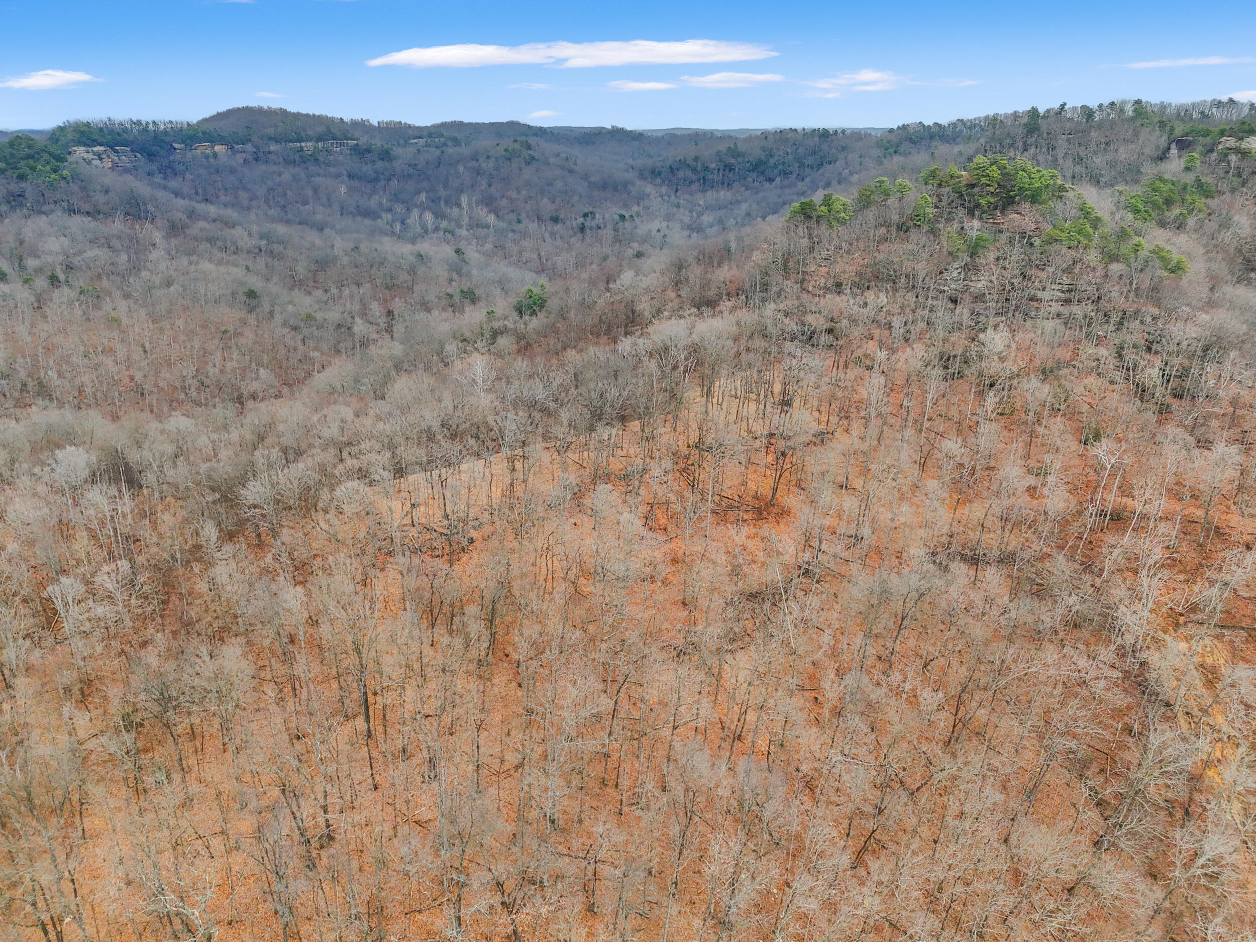 4558 Ky-36 Property Photo 7