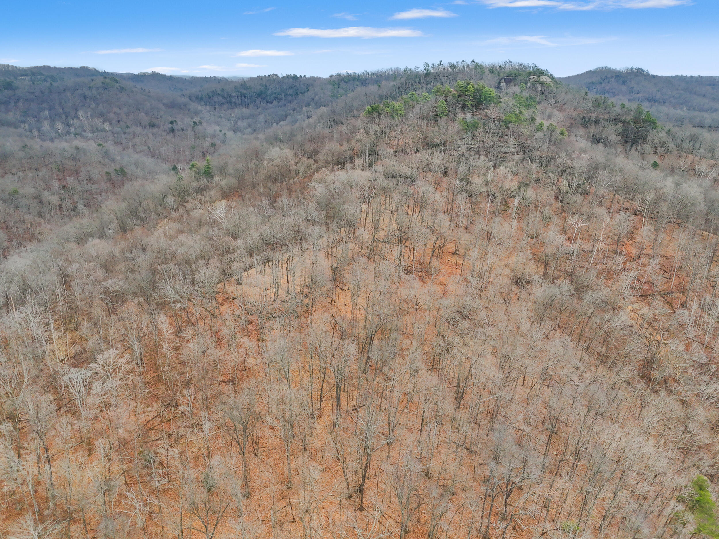 4558 Ky-36 Property Photo 8