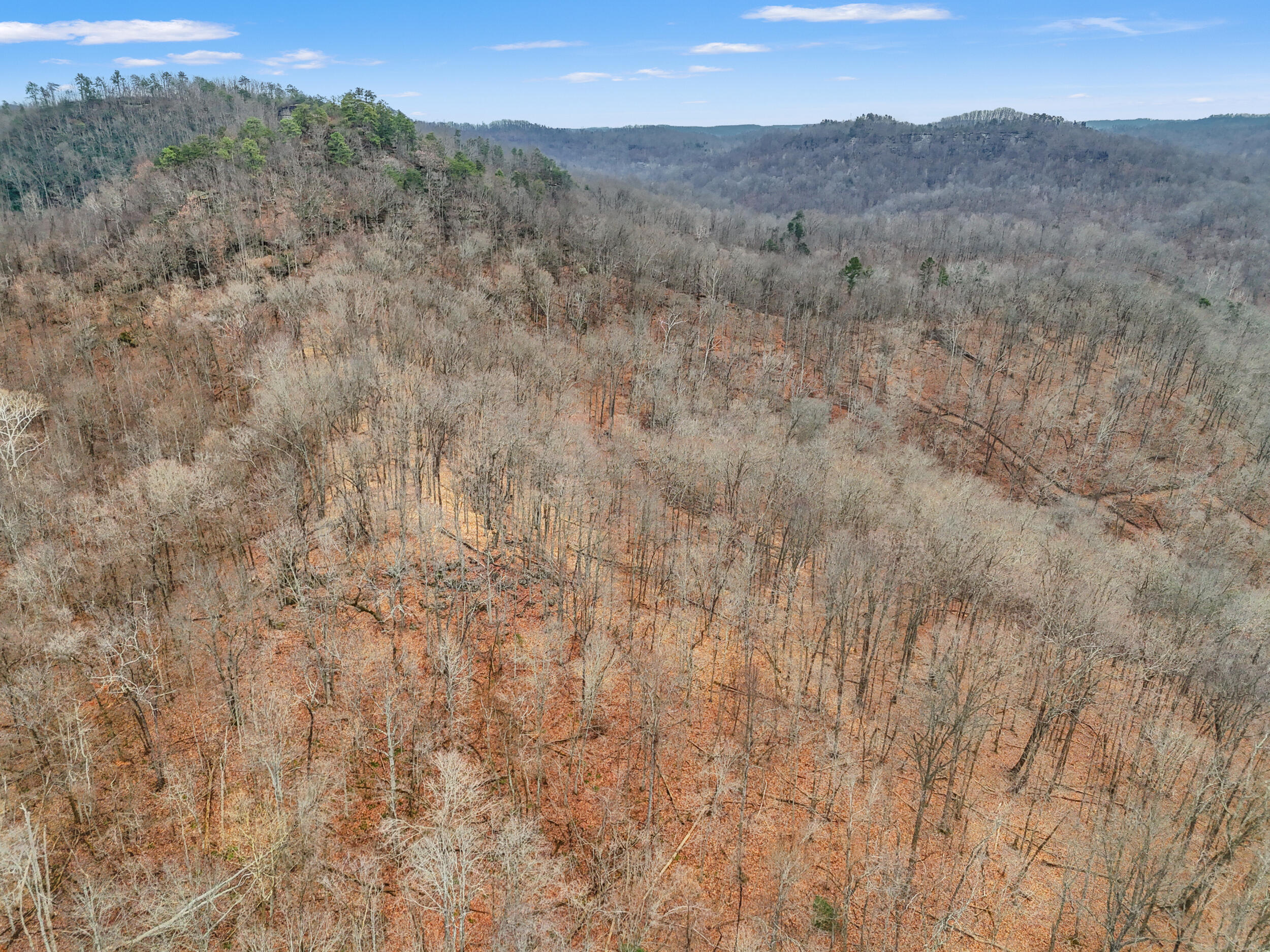 4558 Ky-36 Property Photo 9