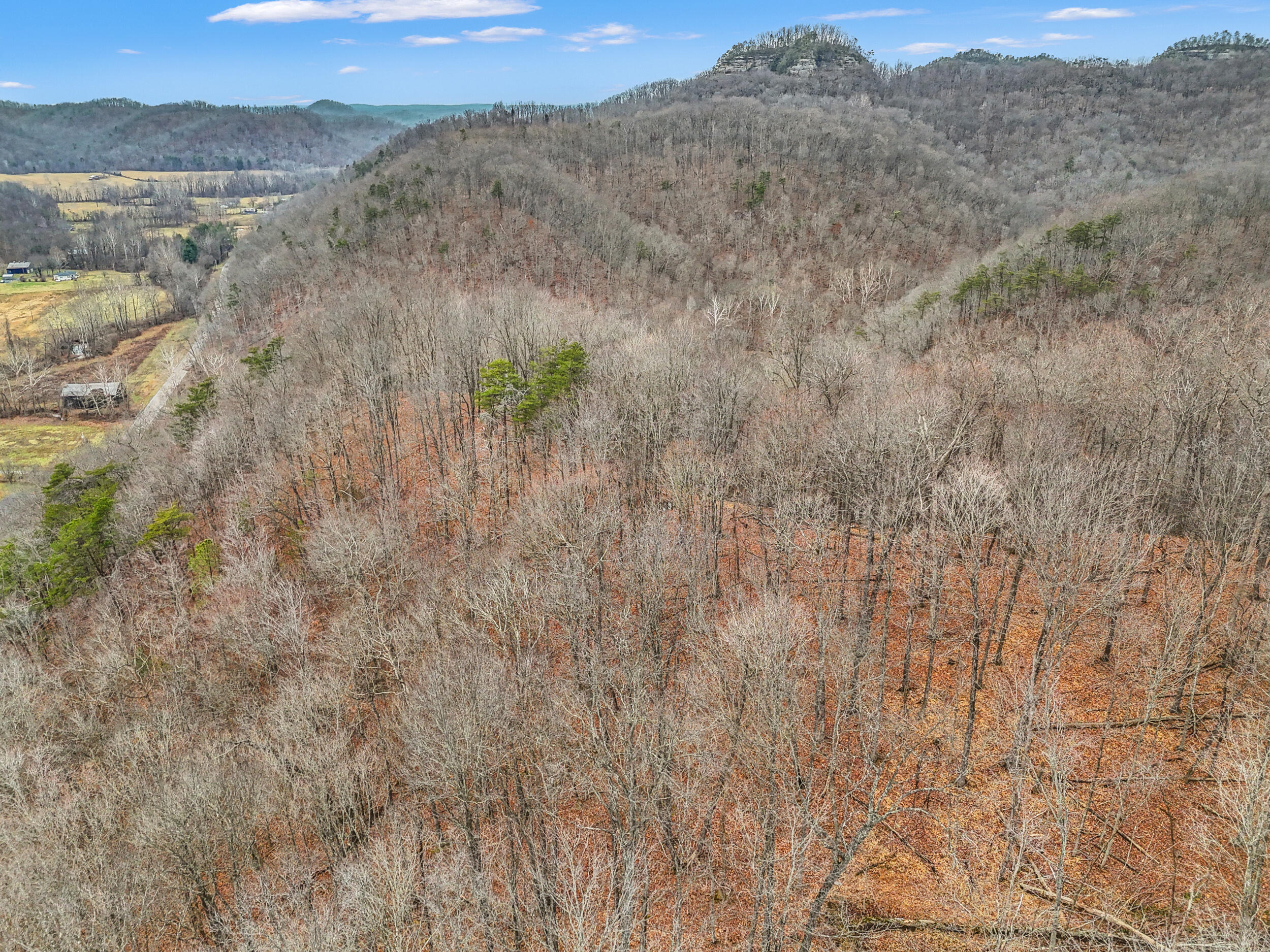 4558 Ky-36 Property Photo 14