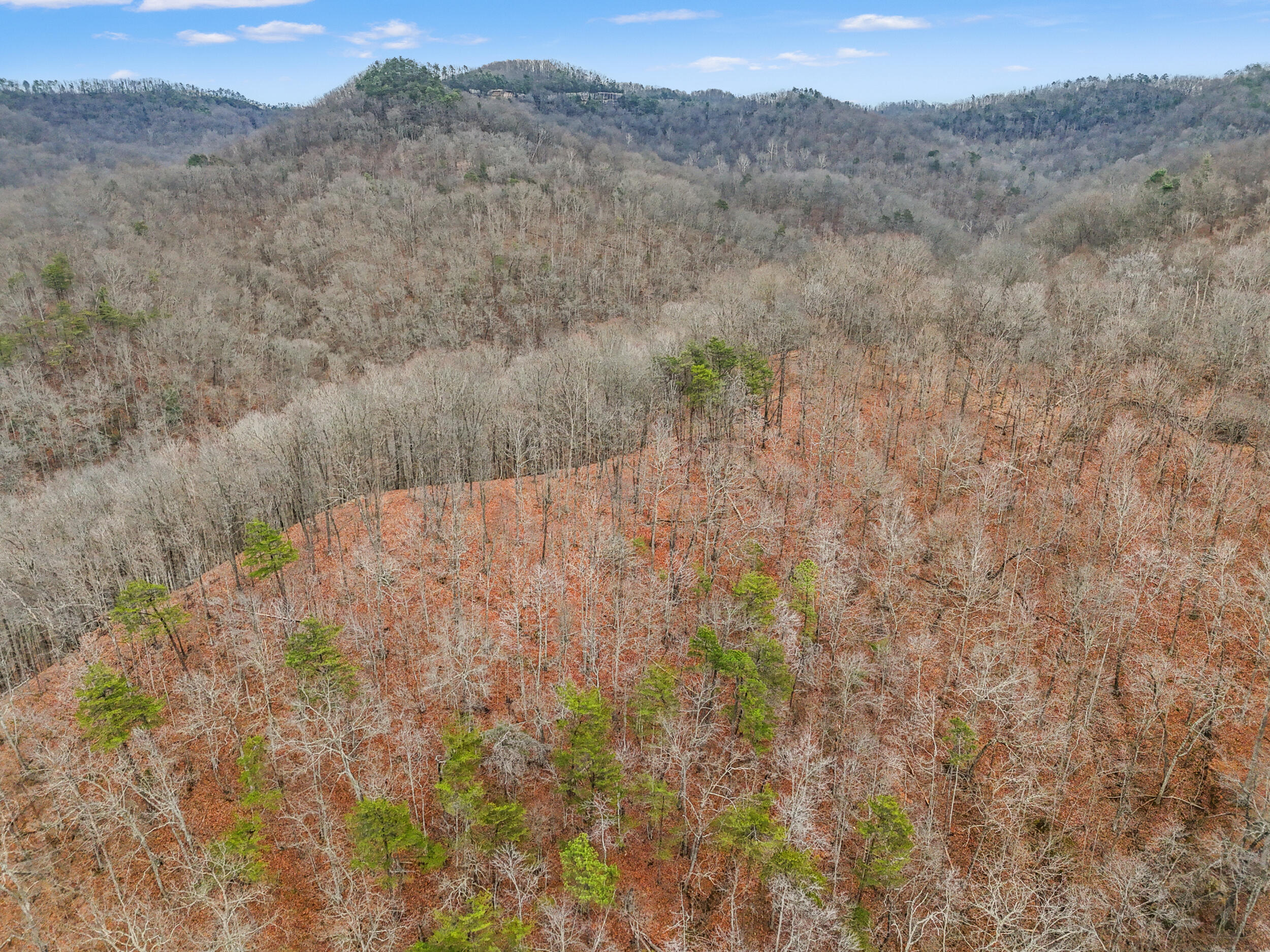 4558 Ky-36 Property Photo 15