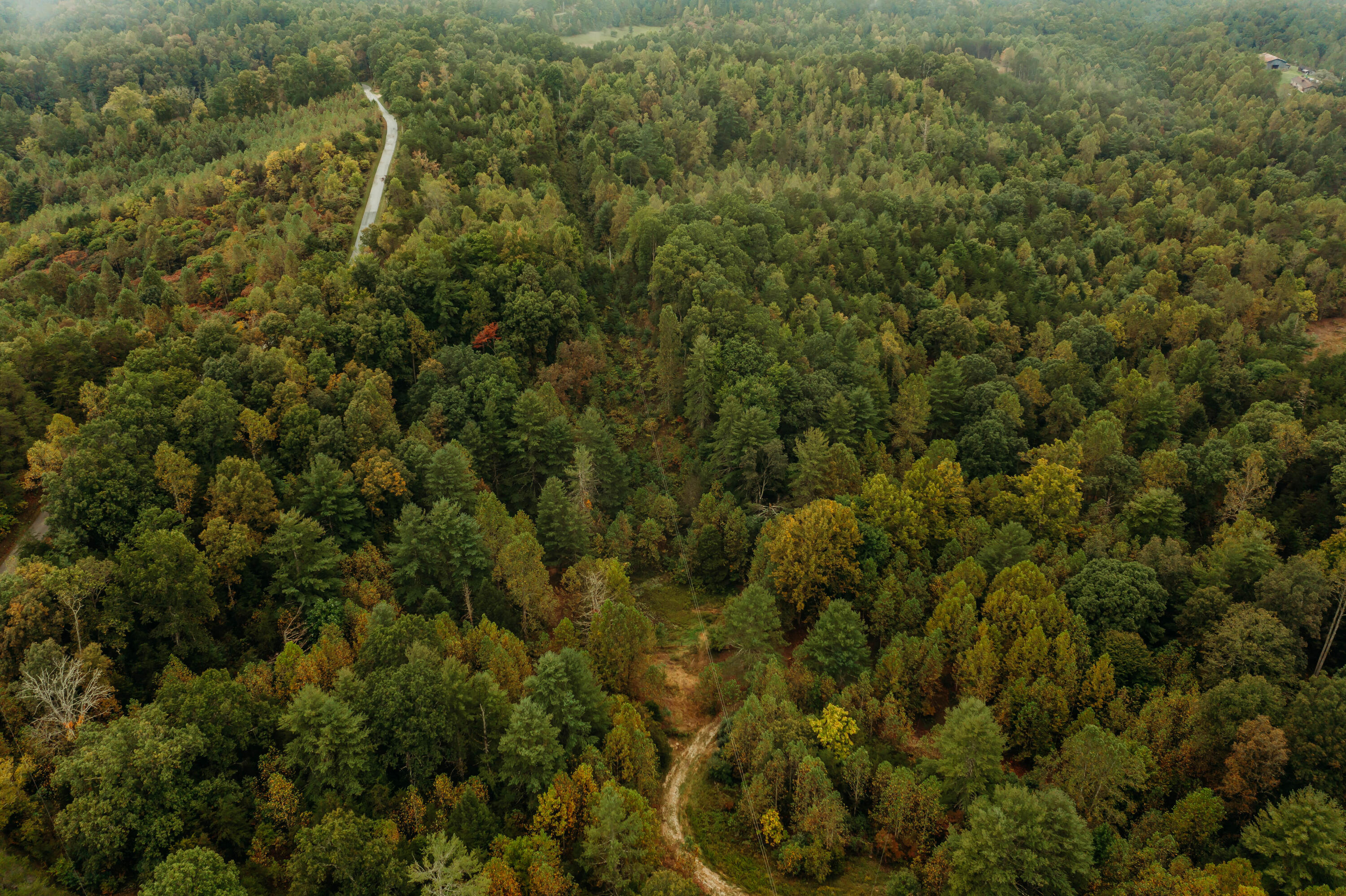 Lot 33 Lower Hollertop Road Property Photo 2
