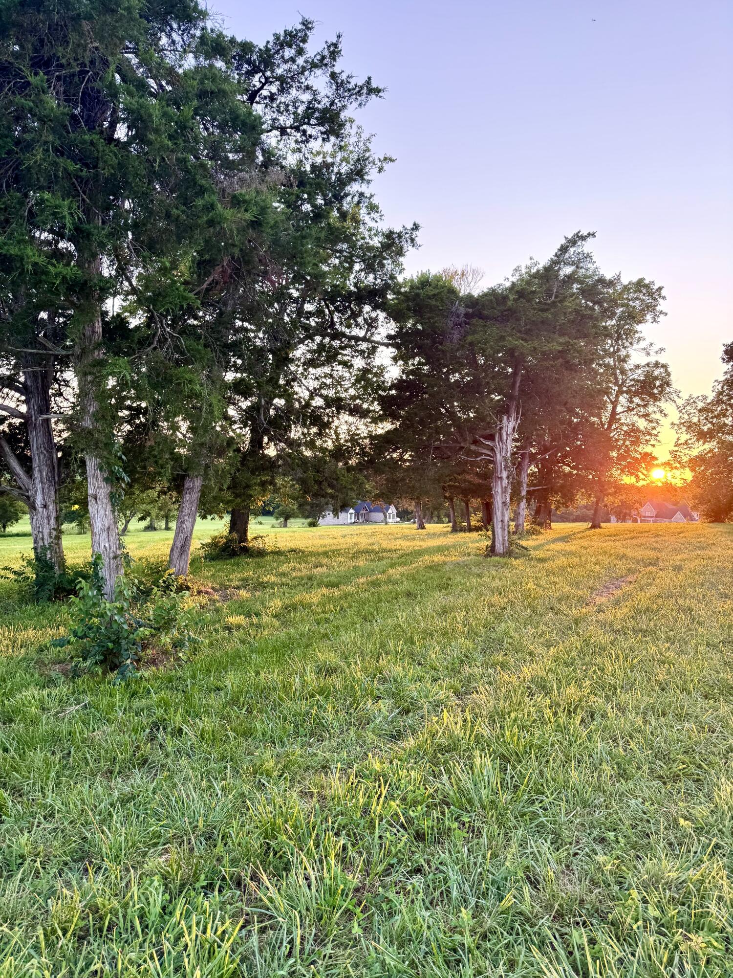 202 Appaloosa Trail Lot 3
