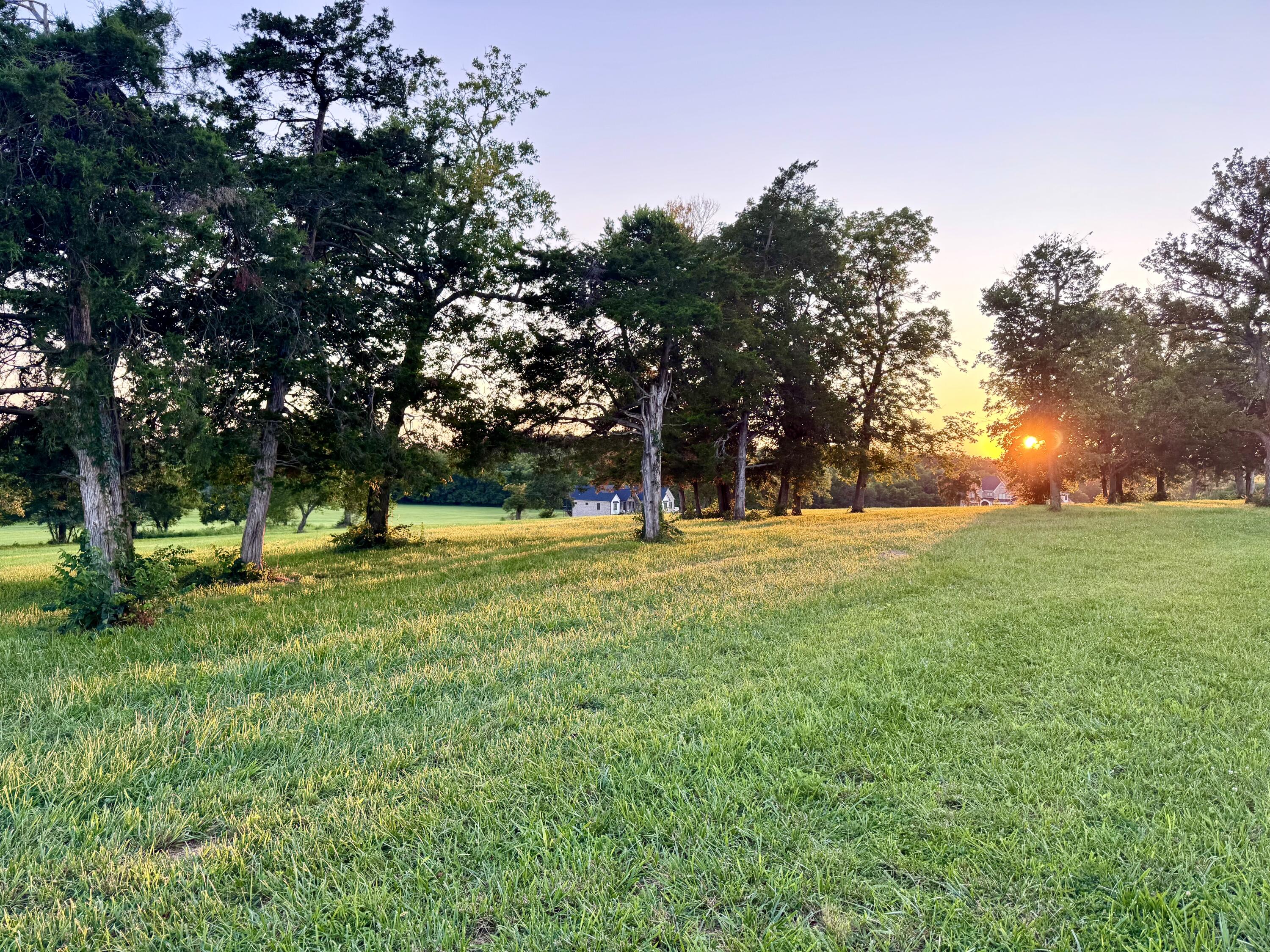 202 Appaloosa Trail Lot 3 Property Photo 3