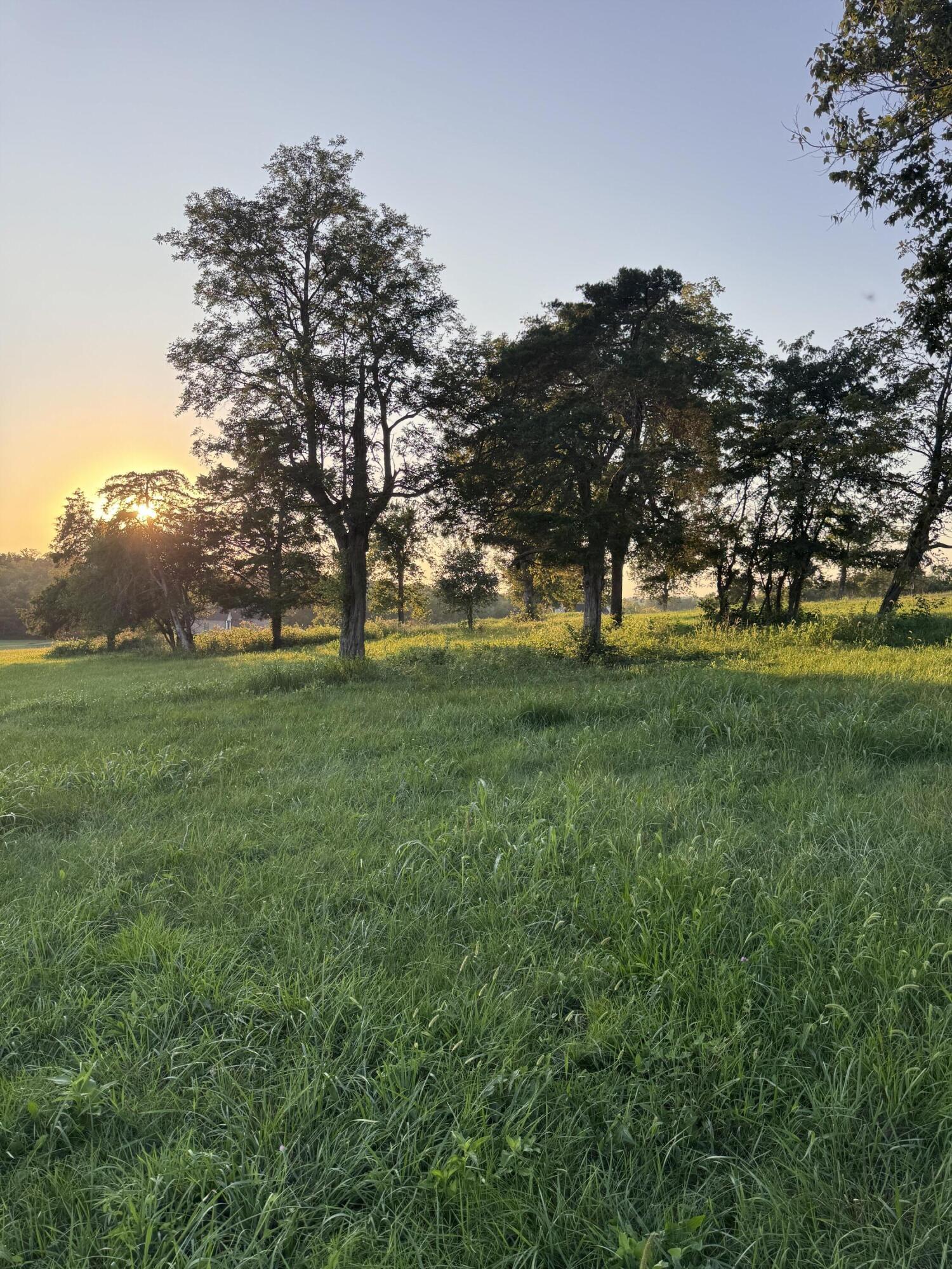 202 Appaloosa Trail Lot 3 Property Photo 18