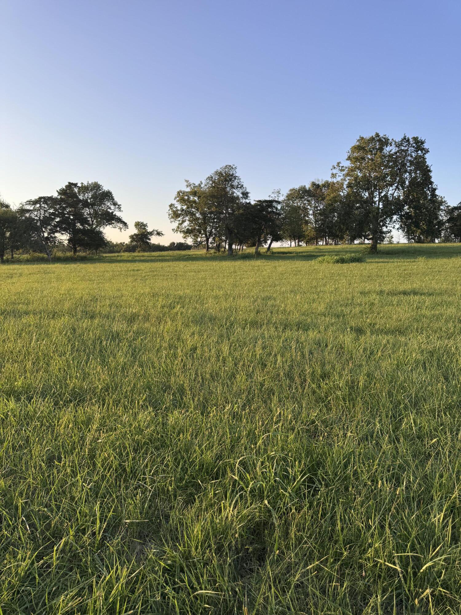 202 Appaloosa Trail Lot 3 Property Photo 22
