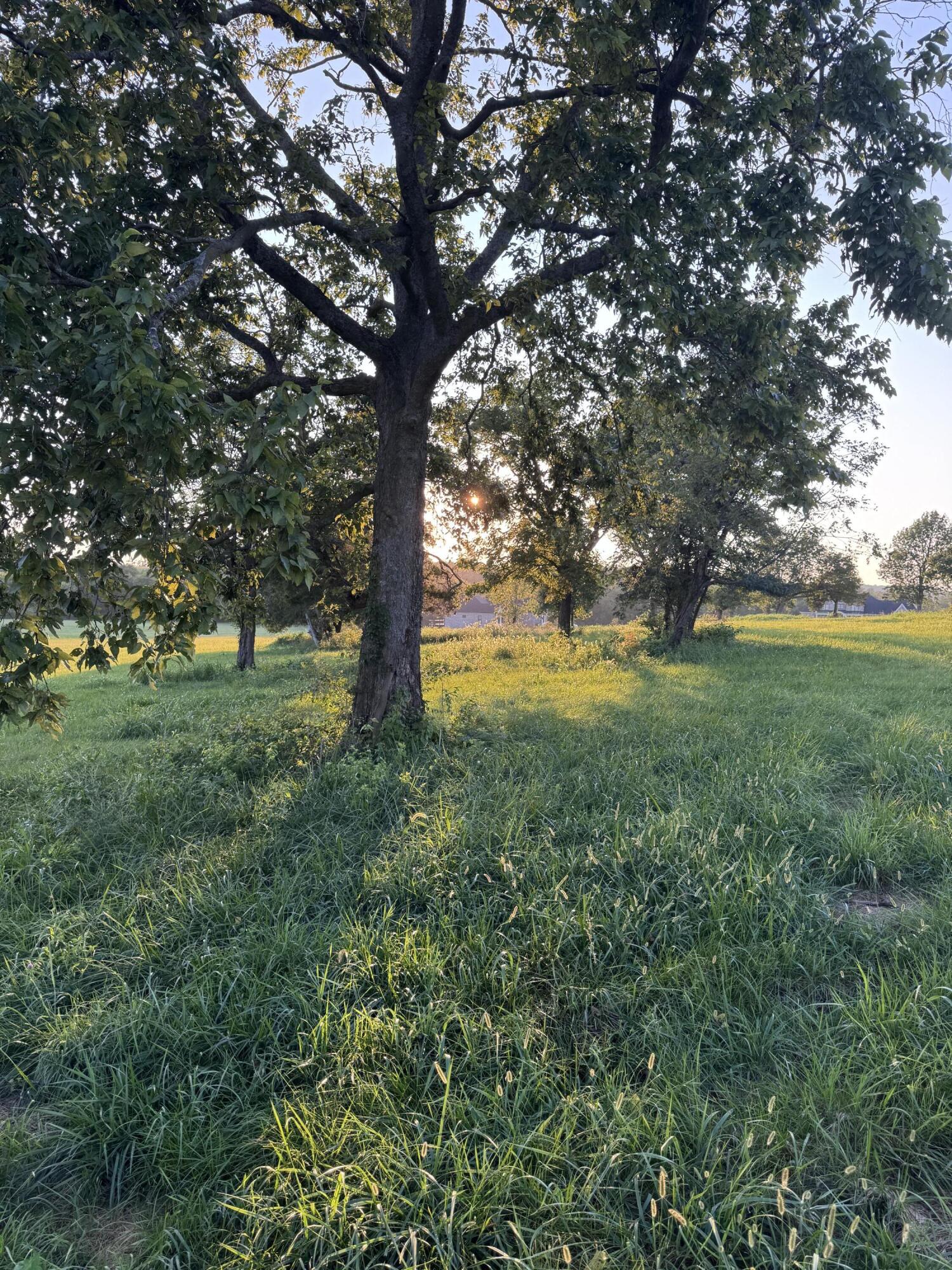 202 Appaloosa Trail Lot 3 Property Photo 23