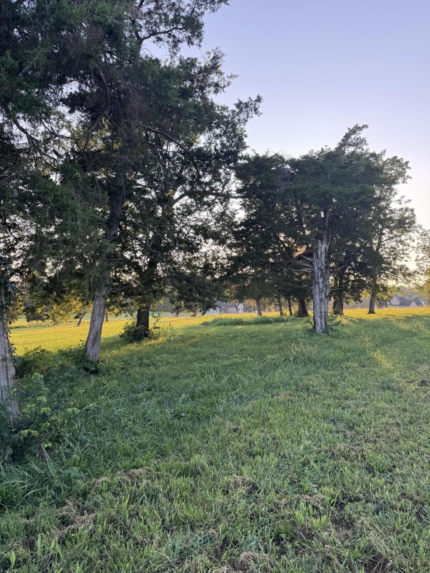 202 Appaloosa Trail Lot 3 Property Photo 25