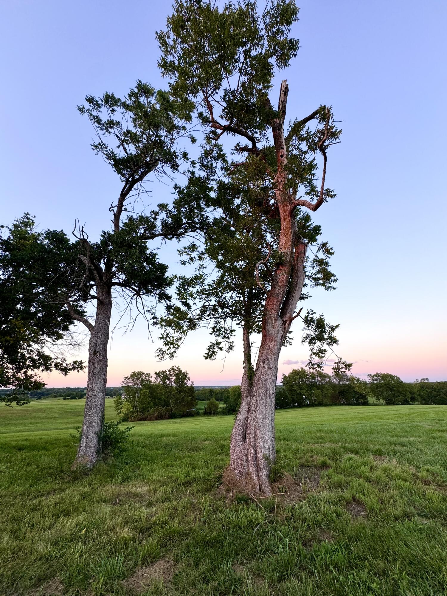 202 Appaloosa Trail Lot 3 Property Photo 26