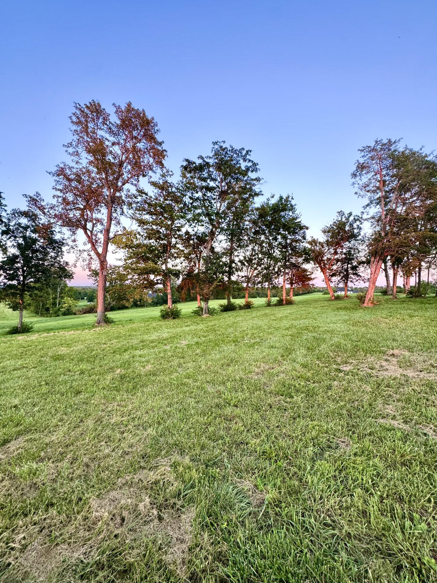 202 Appaloosa Trail Lot 3 Property Photo 31