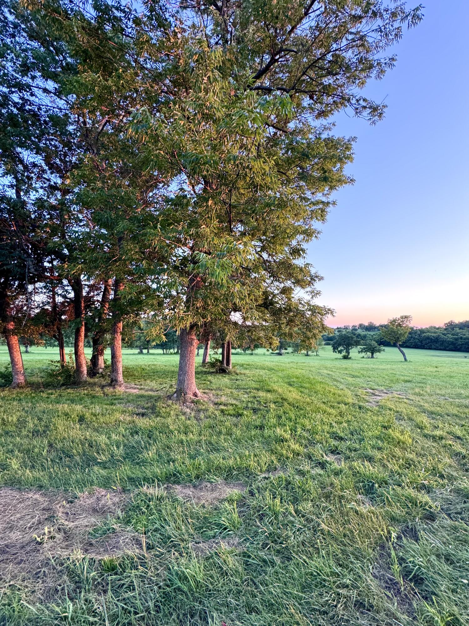 202 Appaloosa Trail Lot 3 Property Photo 32