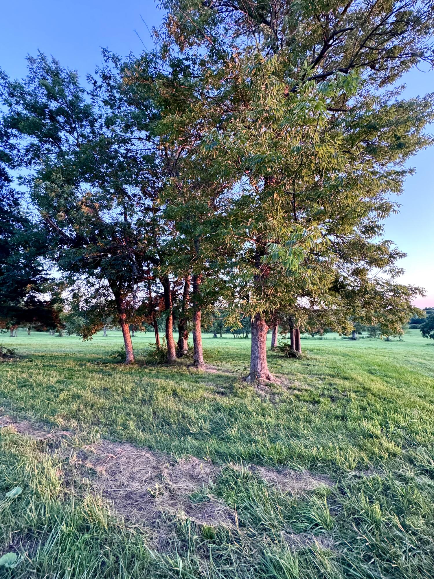 202 Appaloosa Trail Lot 3 Property Photo 33