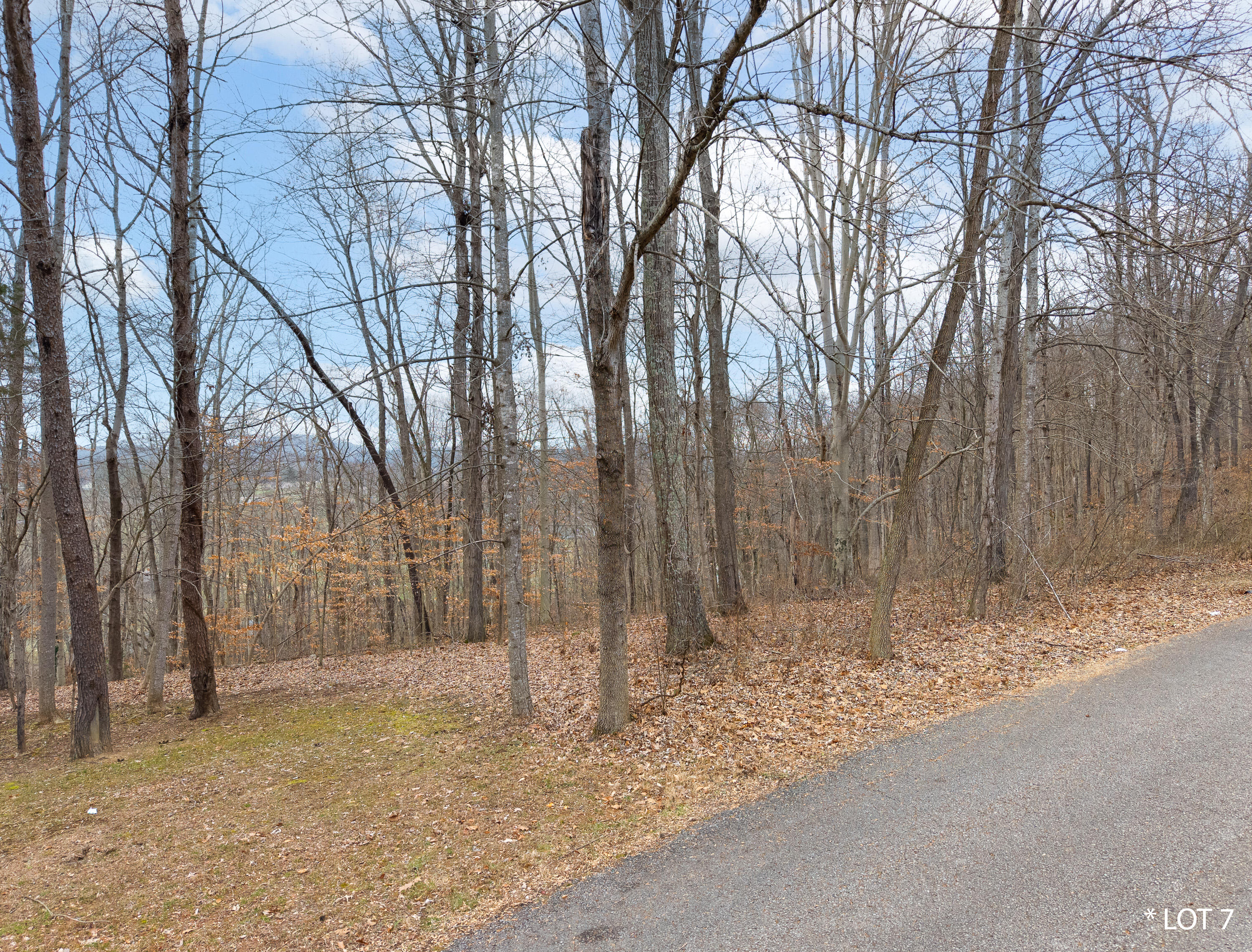 Lot 7 Hunter Lane Property Photo 5