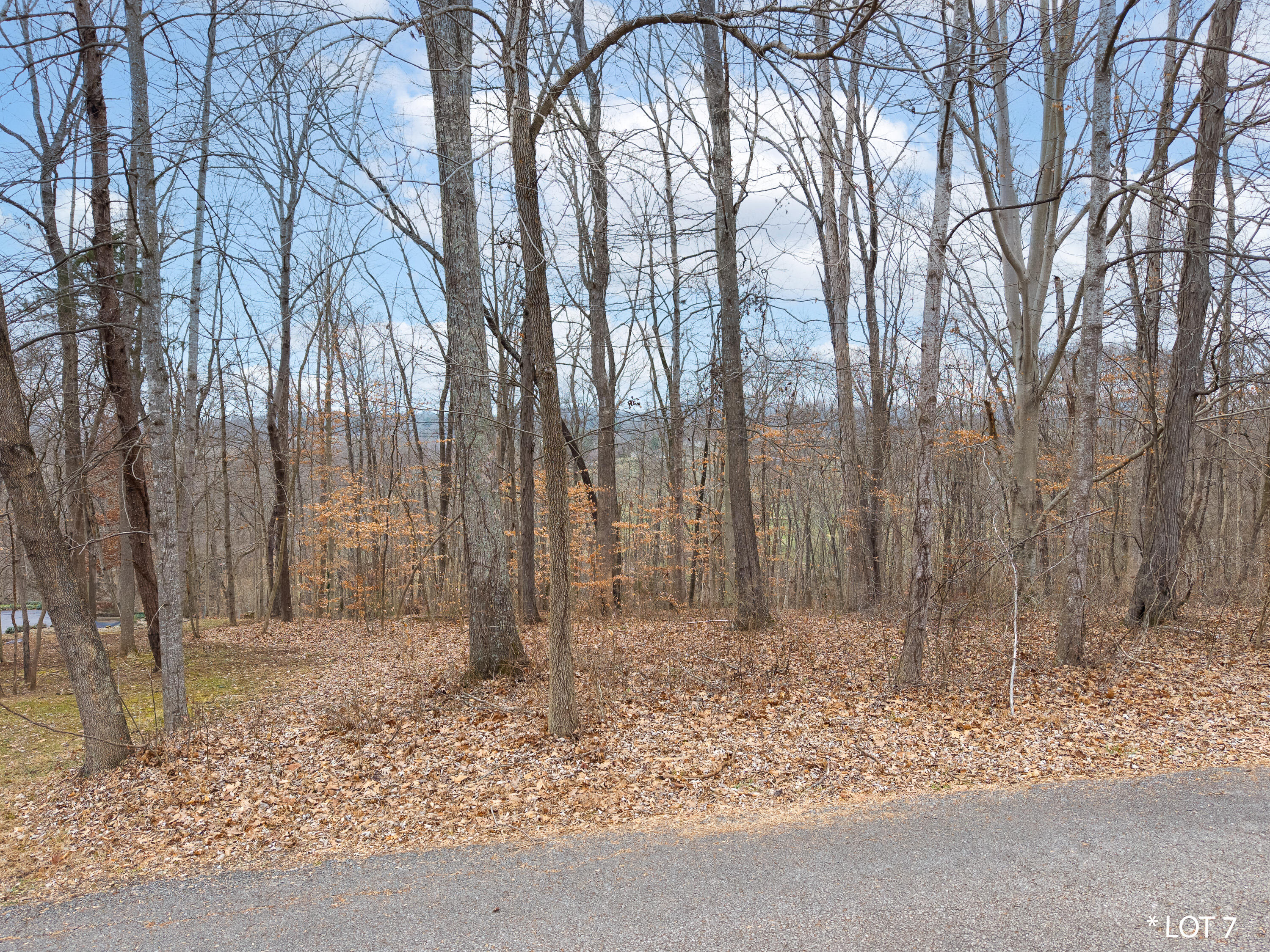 Lot 7 Hunter Lane Property Photo 6