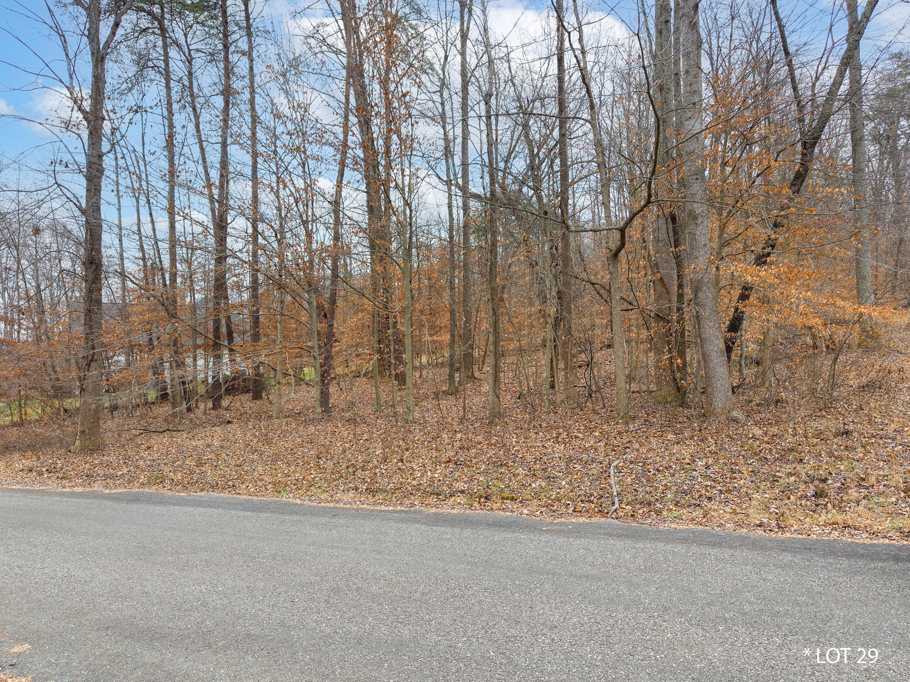 Lot 29 Hunter Lane Property Photo 4