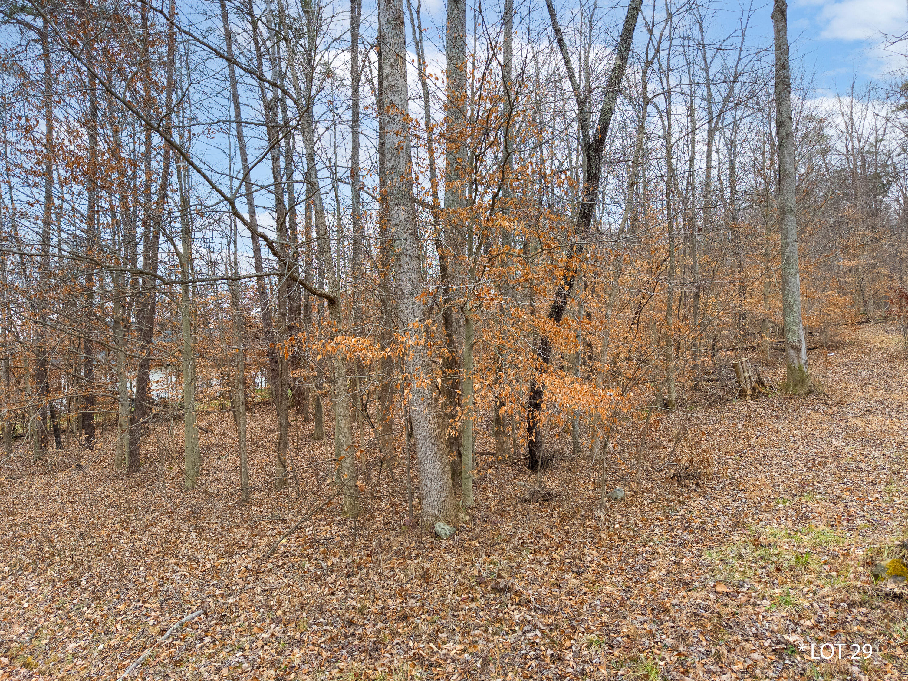 Lot 29 Hunter Lane Property Photo 5