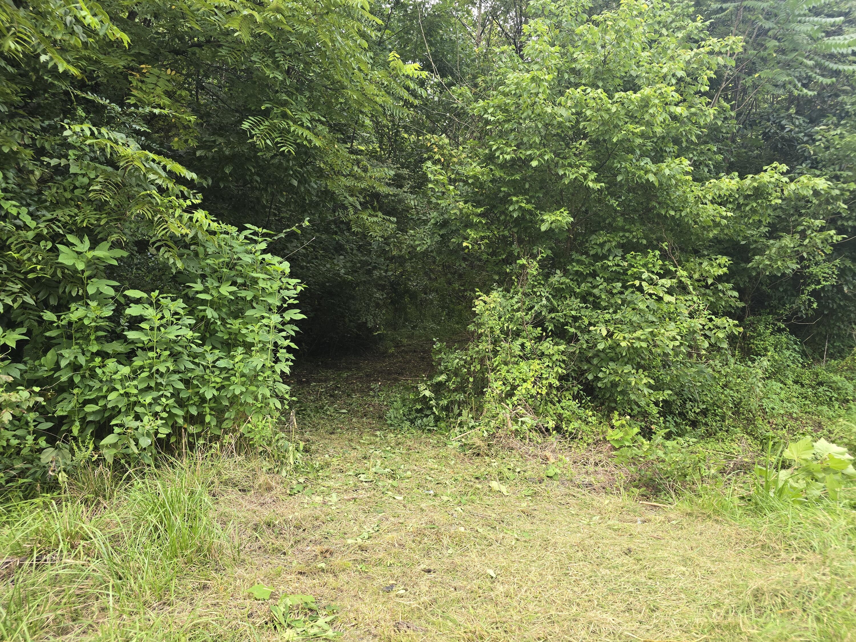 0 Us-119 Bell-harlan County Line Property Photo 2