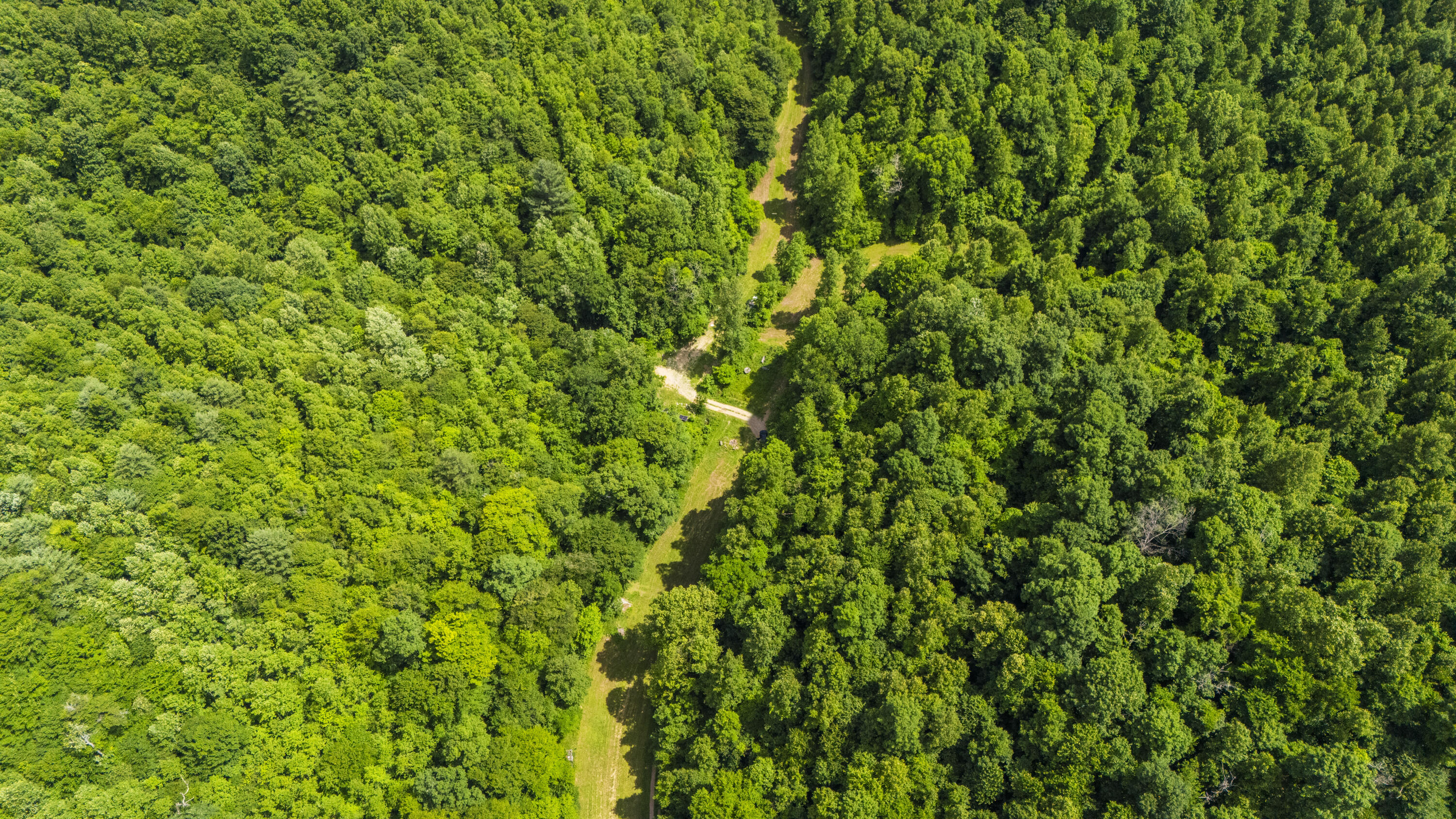 105 Chambers Fork Road Property Photo 4