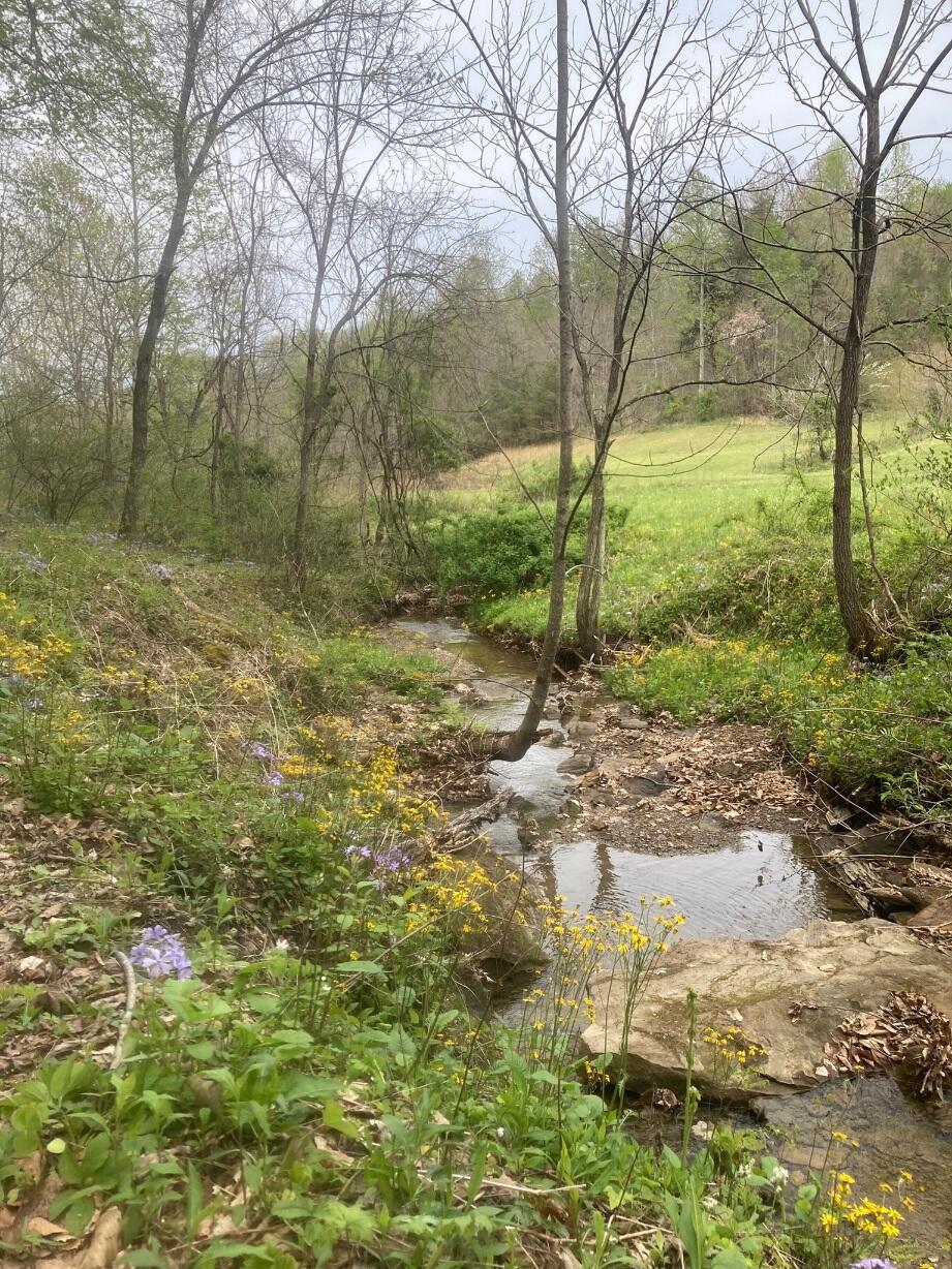 105 Chambers Fork Road Property Photo 11
