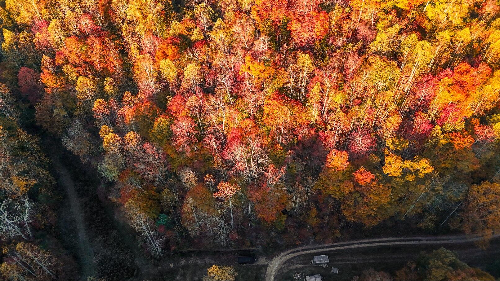 105 Chambers Fork Road Property Photo 19