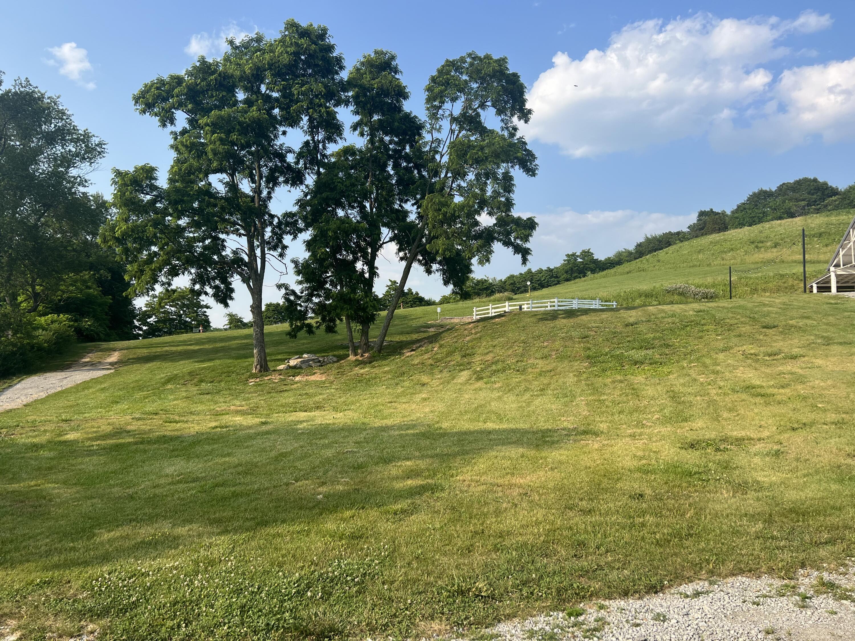 54 Burdette Knob Road Property Photo 34