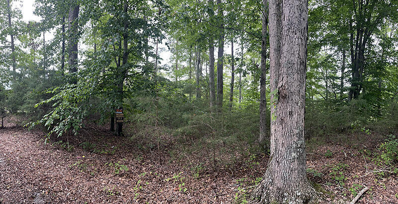 Lot 145 Stillwater Property Photo 4