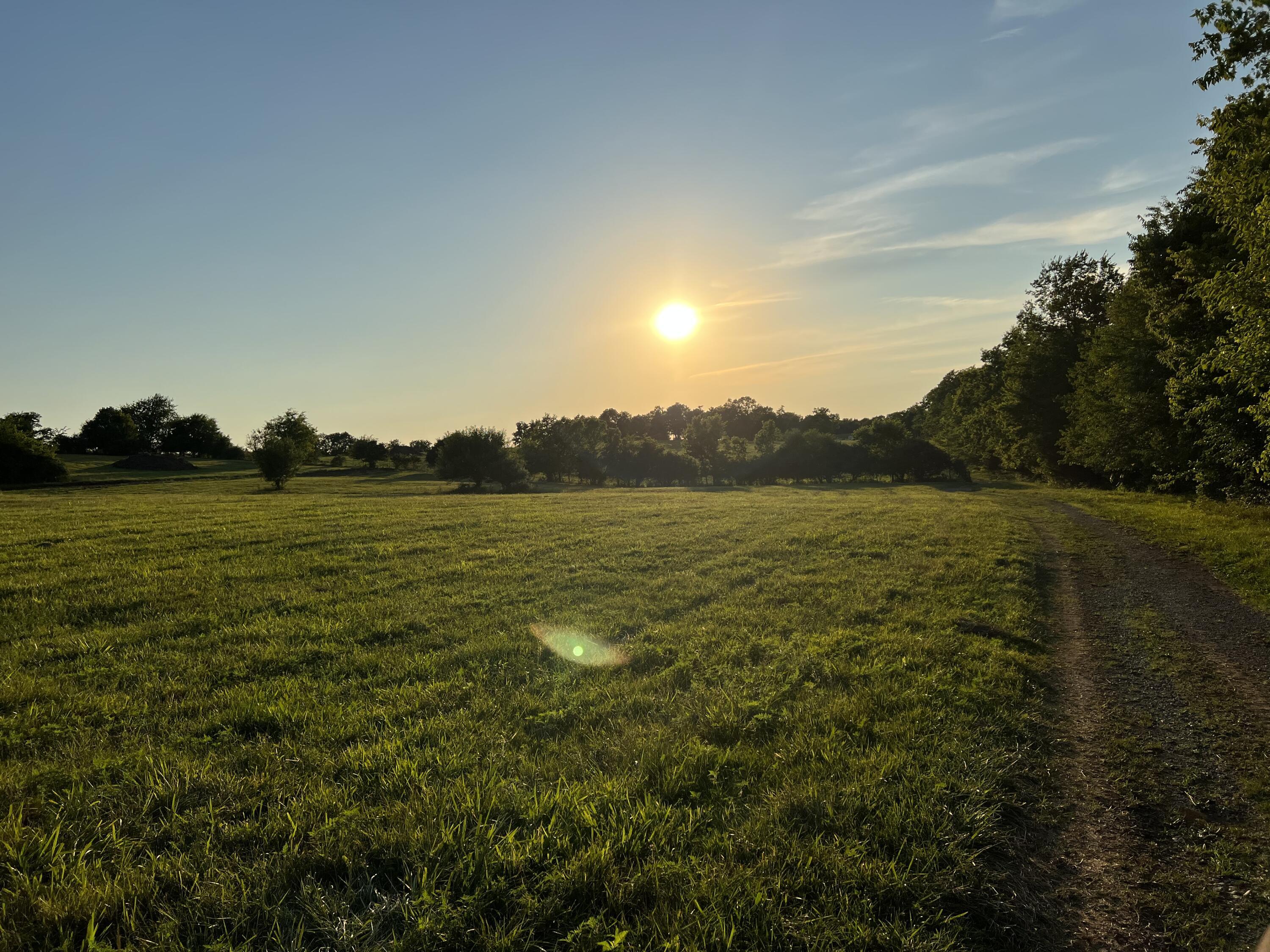 409 Appaloosa Trail Lot 19 Property Photo 8
