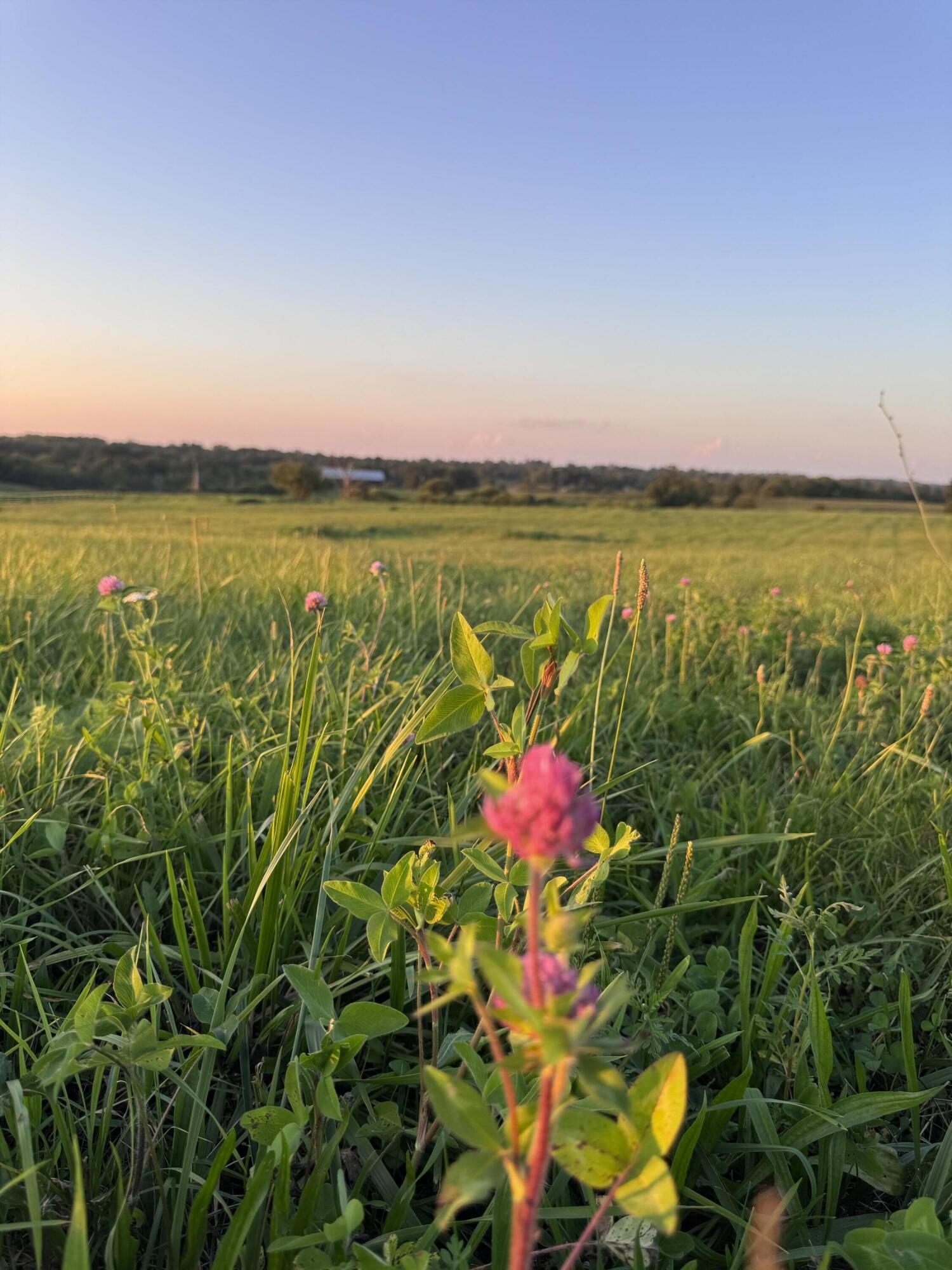 409 Appaloosa Trail Lot 19 Property Photo 27
