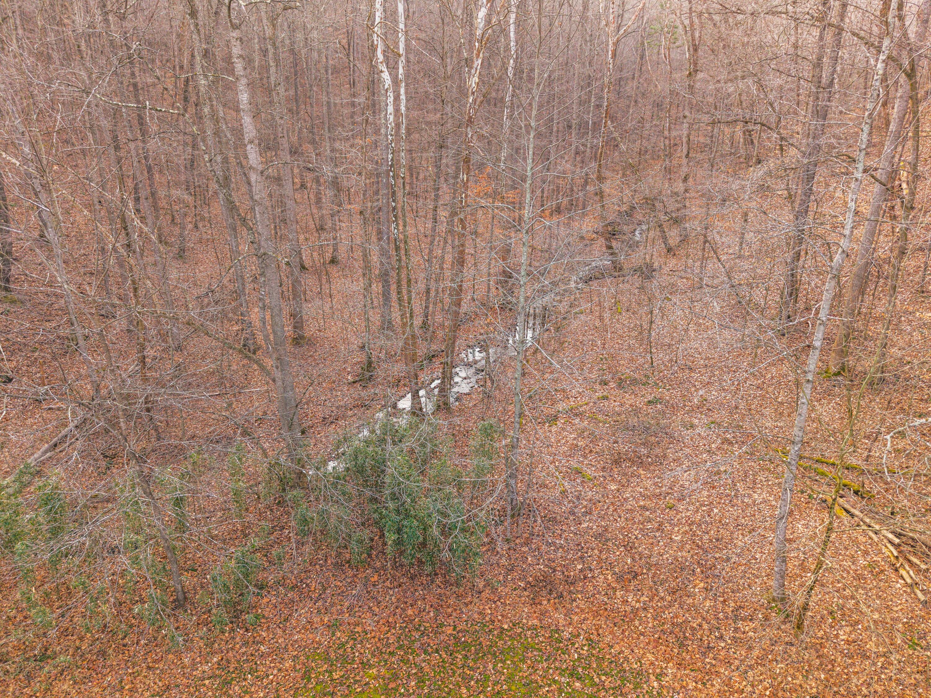 2581 Corder Flats Road Property Photo 74