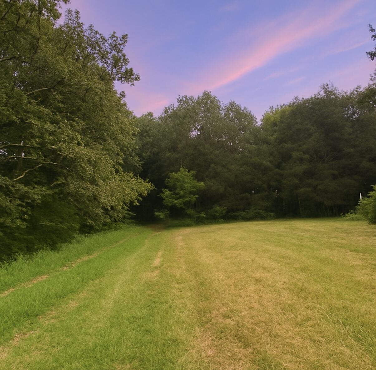 1231 Pleasant Grove Ridge Road Property Photo 9