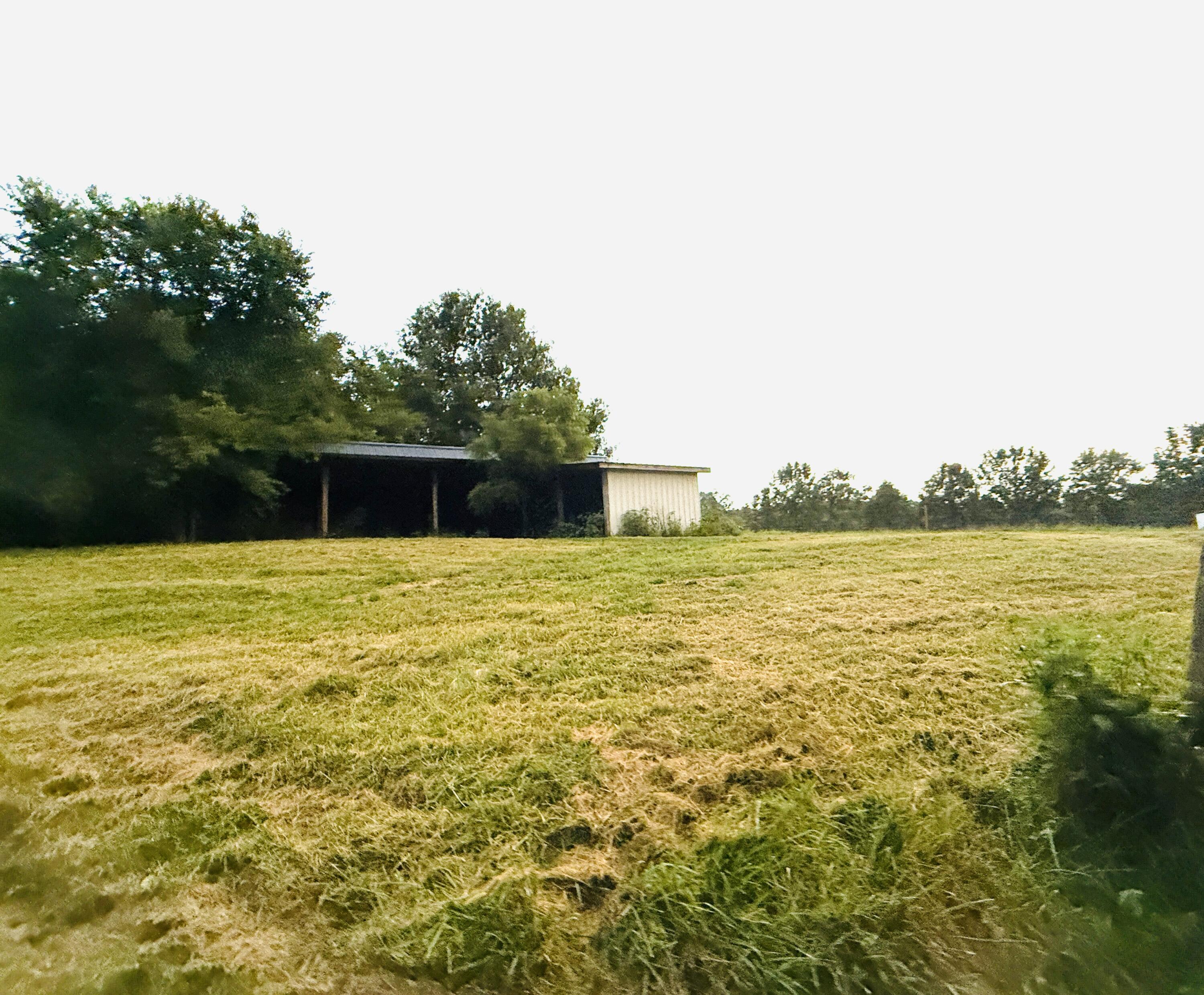 1231 Pleasant Grove Ridge Road Property Photo 16