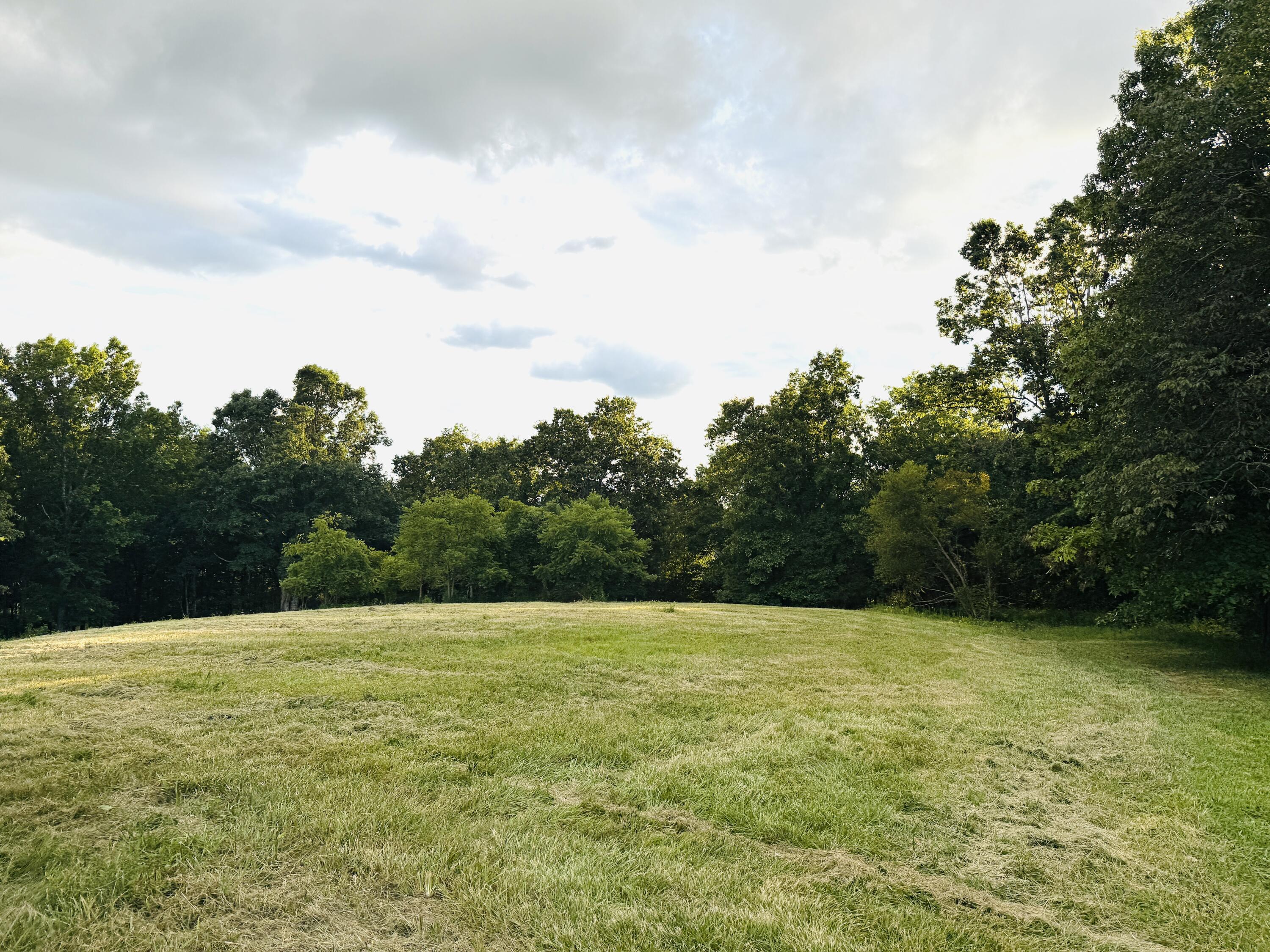 1231 Pleasant Grove Ridge Road Property Photo 20
