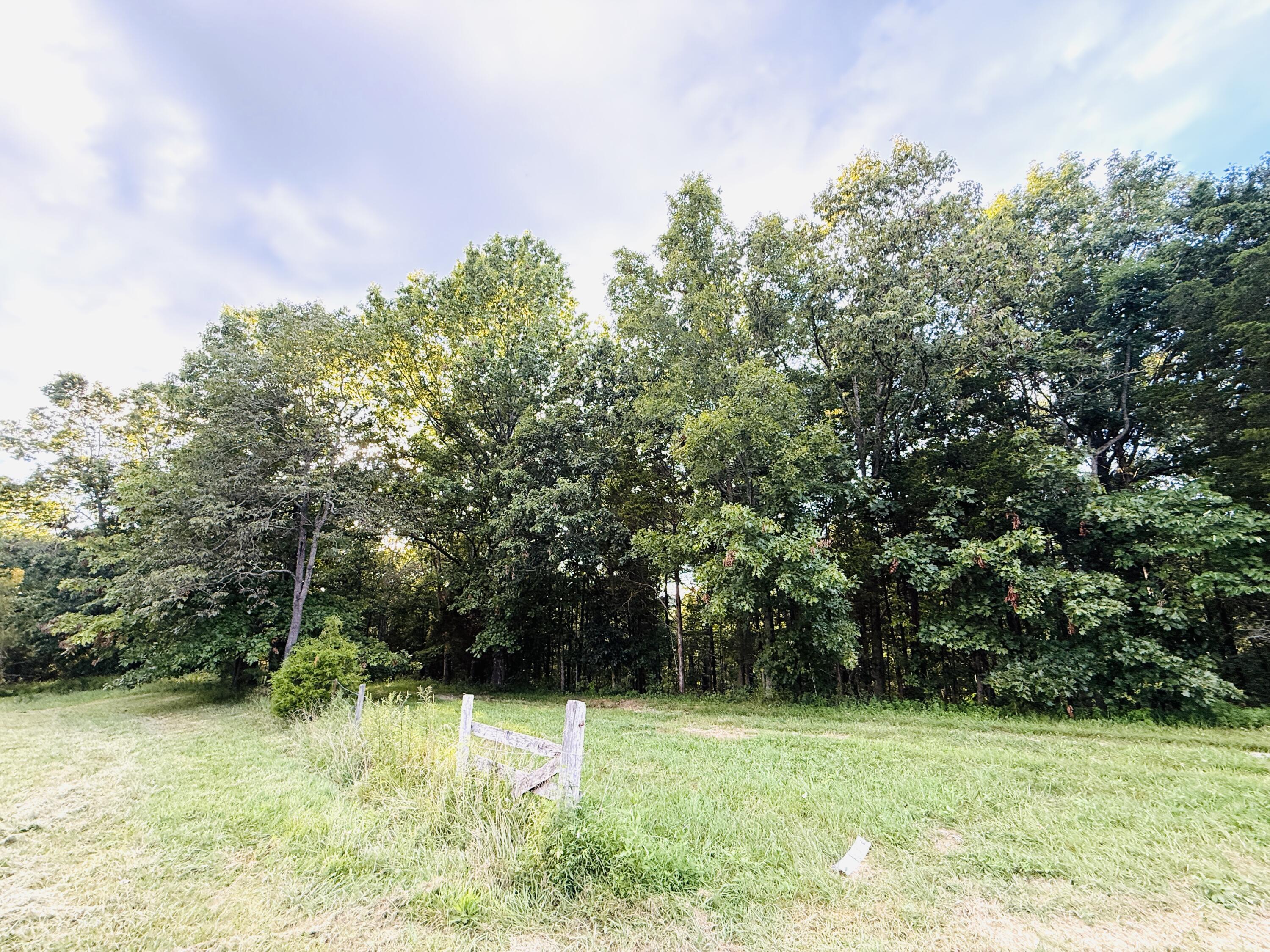 1231 Pleasant Grove Ridge Road Property Photo 21