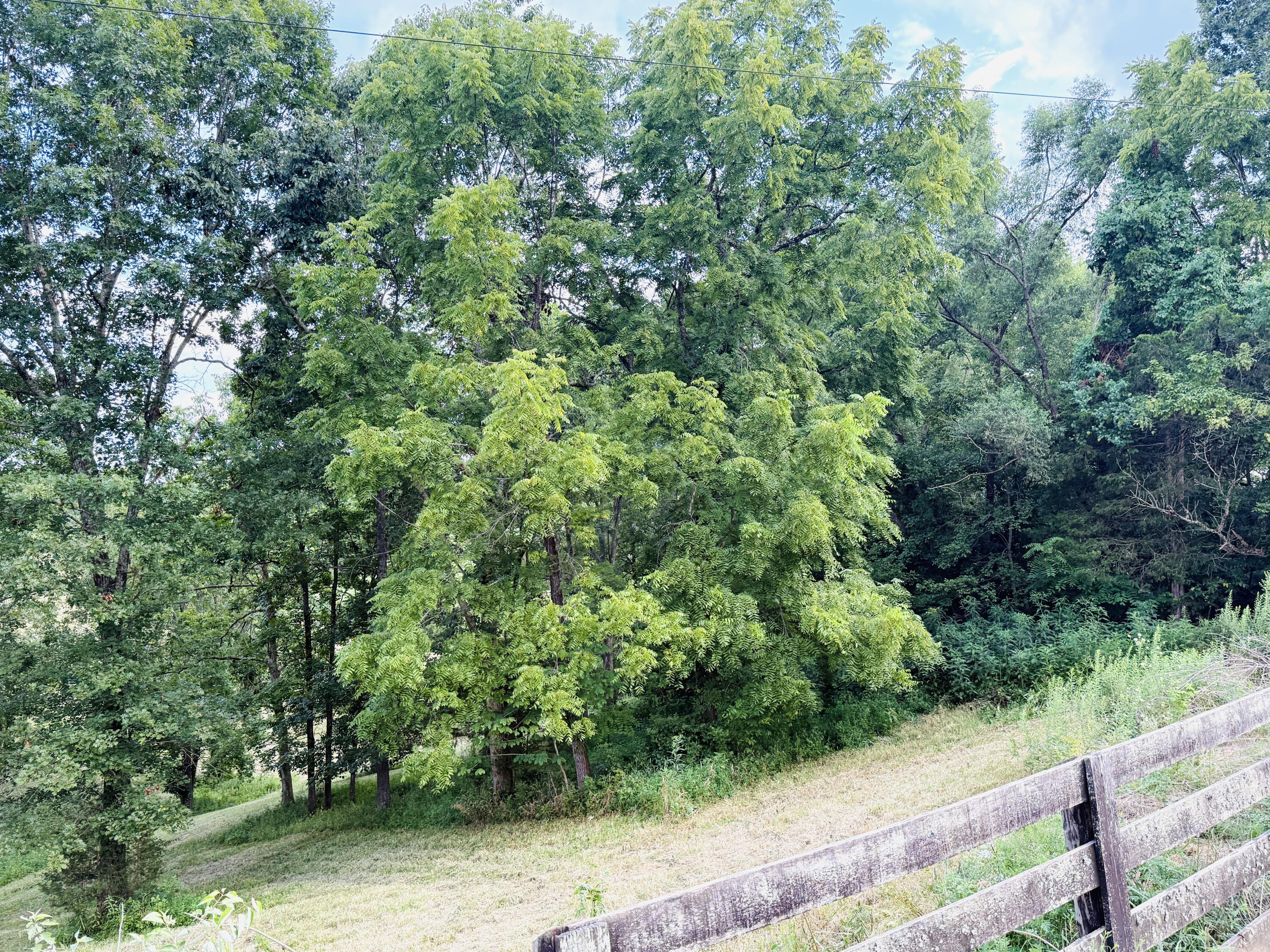 1231 Pleasant Grove Ridge Road Property Photo 25