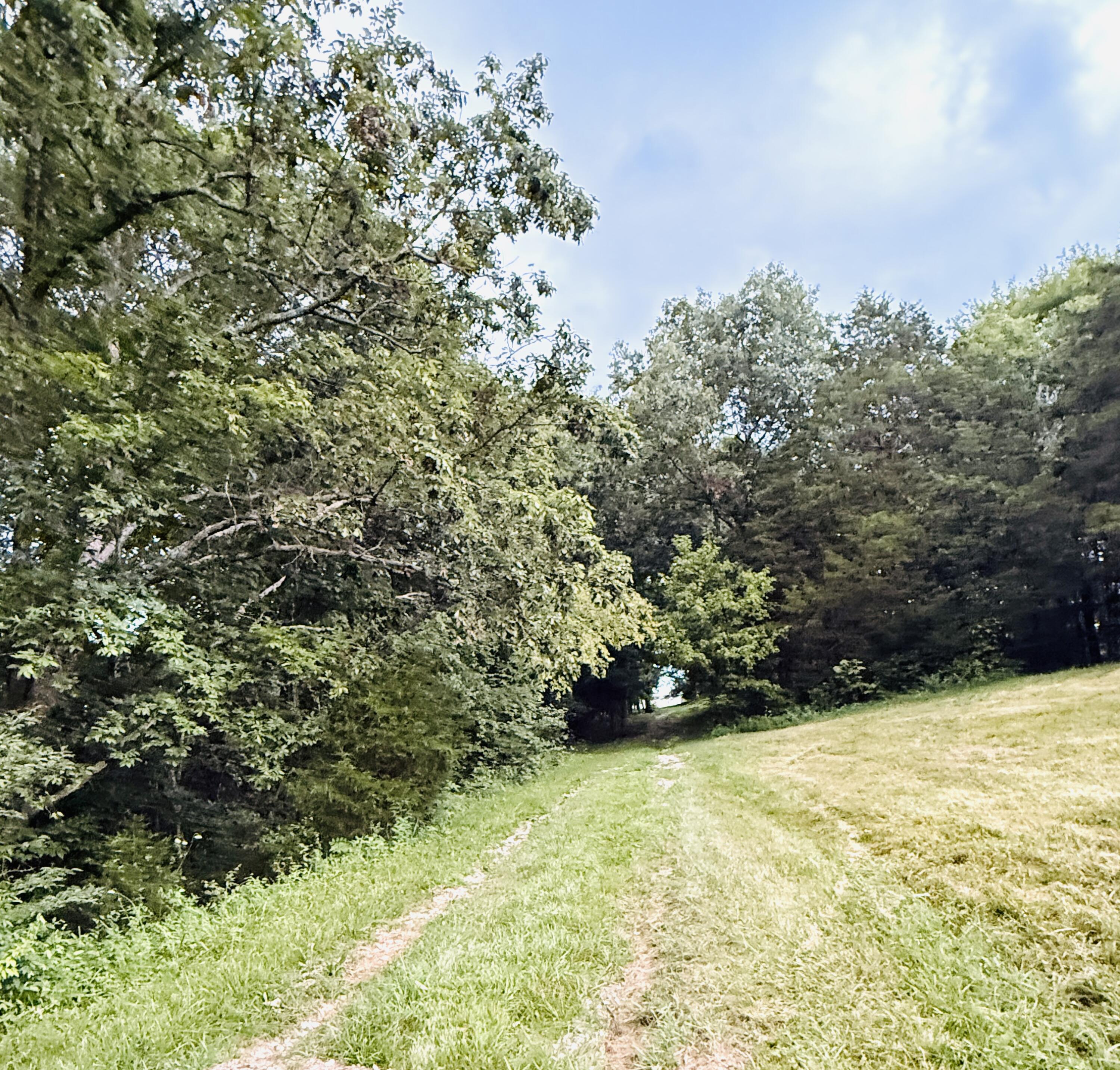 1231 Pleasant Grove Ridge Road Property Photo 27