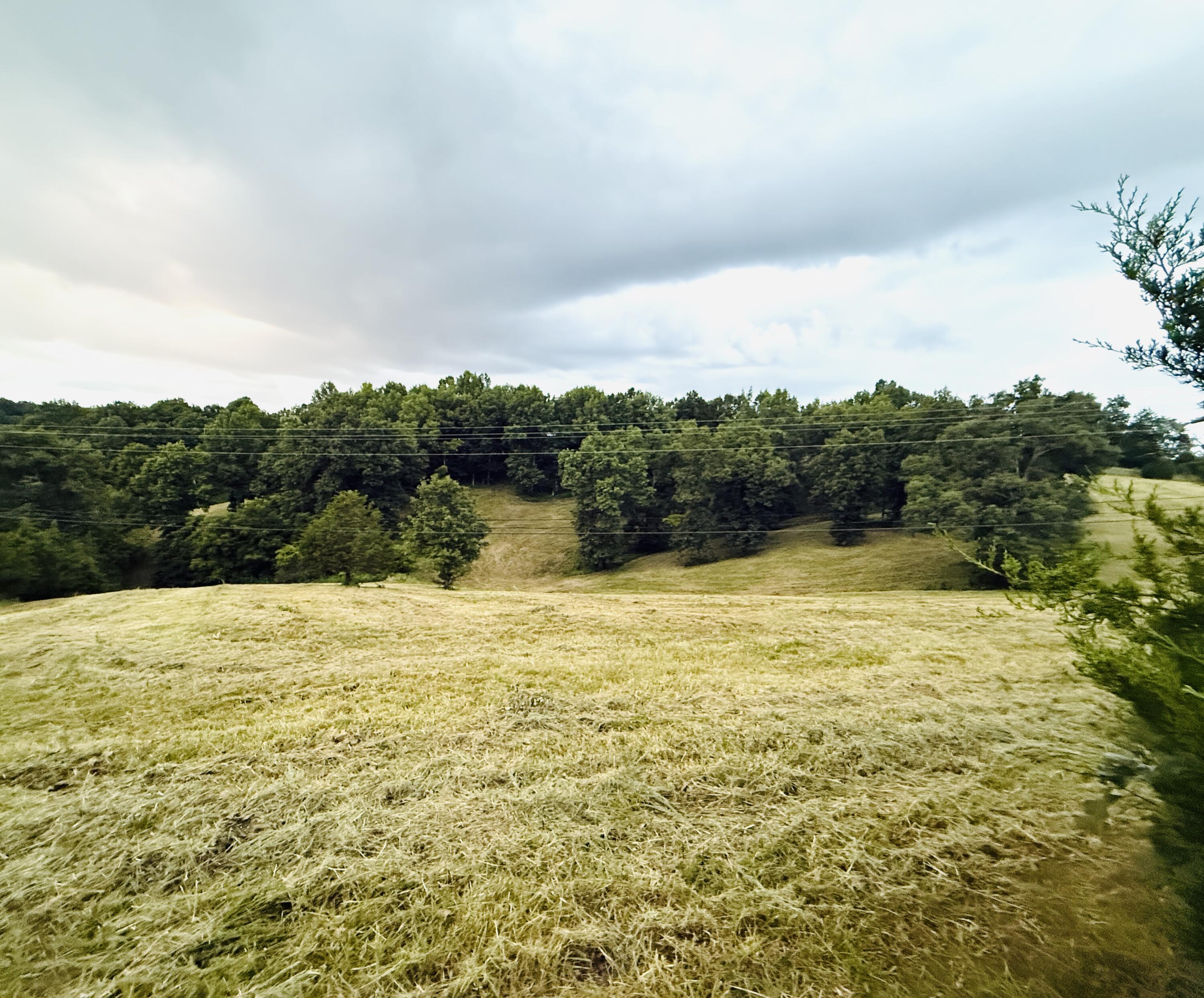 1231 Pleasant Grove Ridge Road Property Photo 28