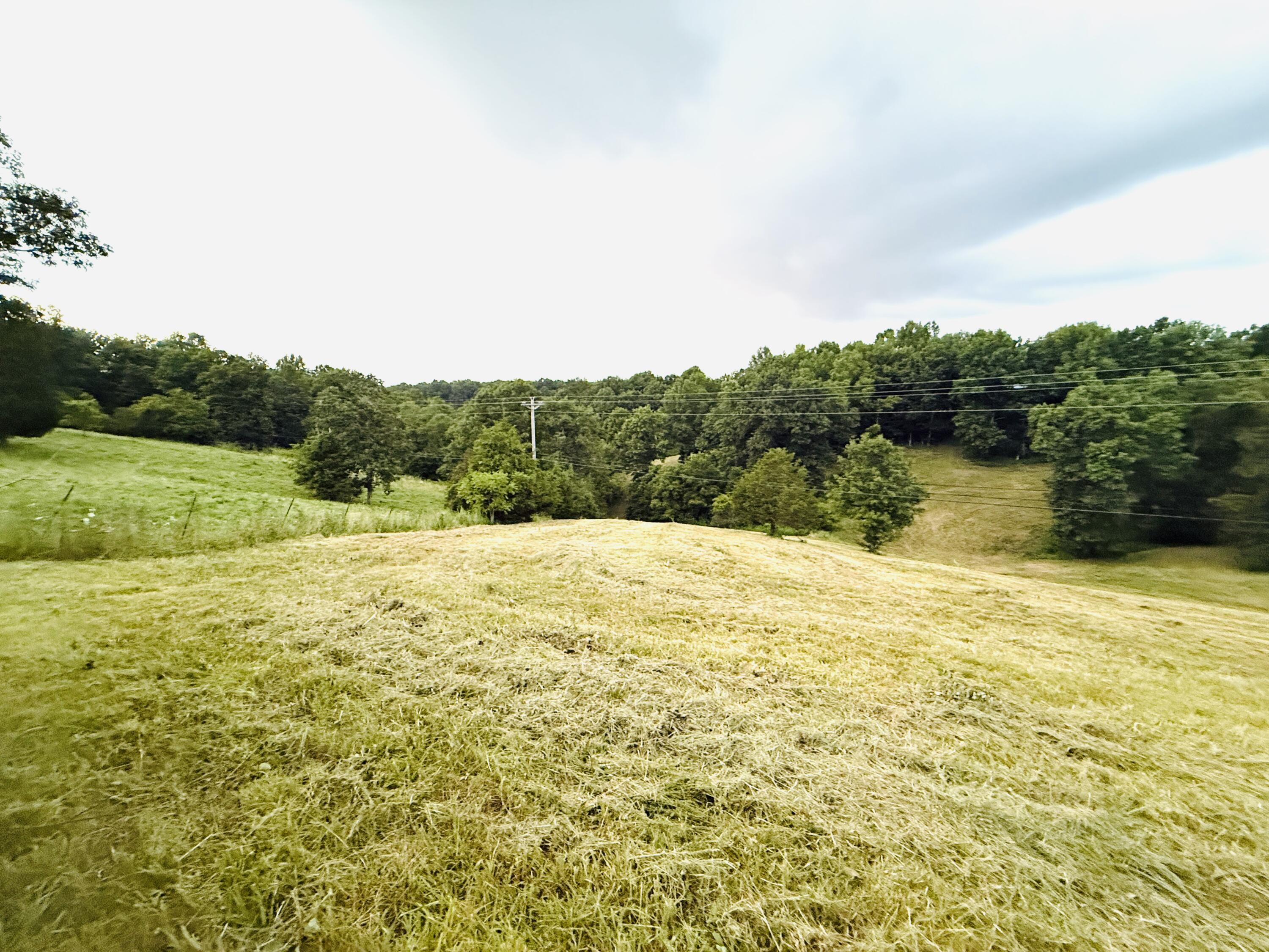 1231 Pleasant Grove Ridge Road Property Photo 29